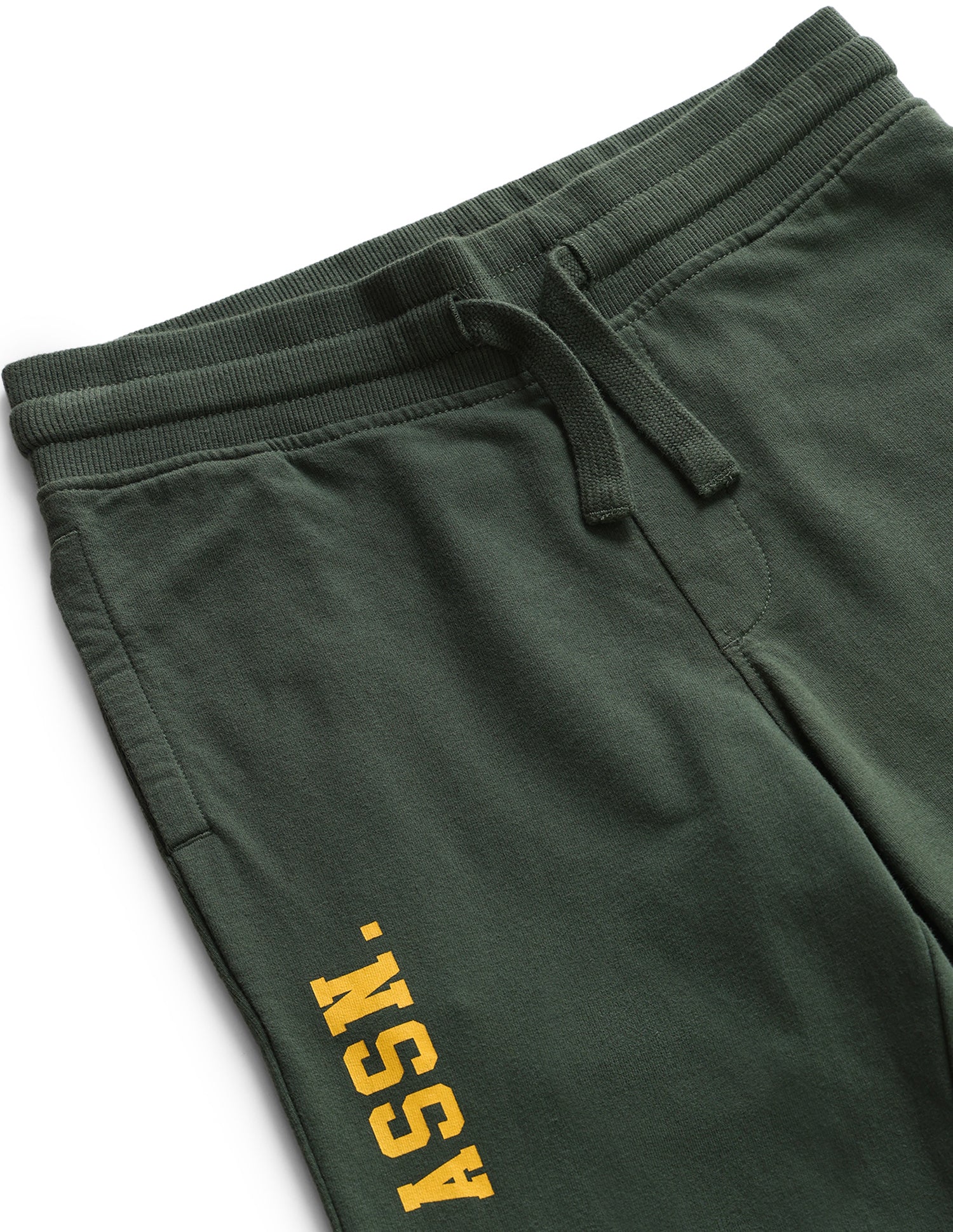 Boys Green Drawstring Waist Brand Print Joggers Green - U.S. Polo Assn. India | Large