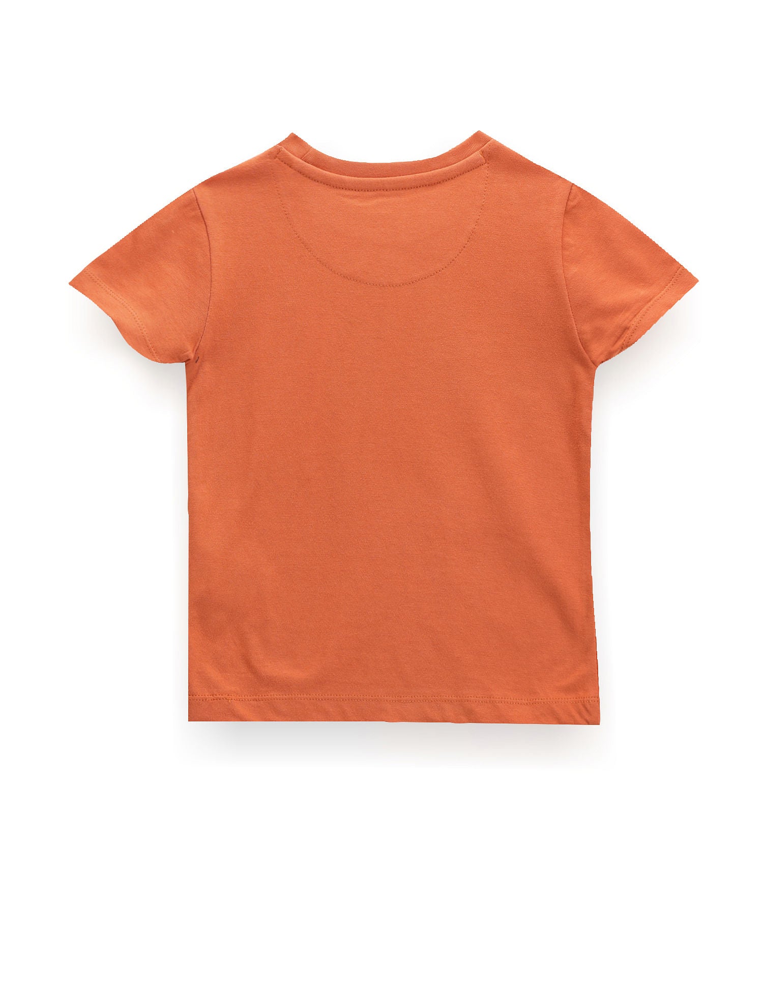 Boys Pure Cotton T-Shirt Rust - U.S. POLO ASSN. | Large