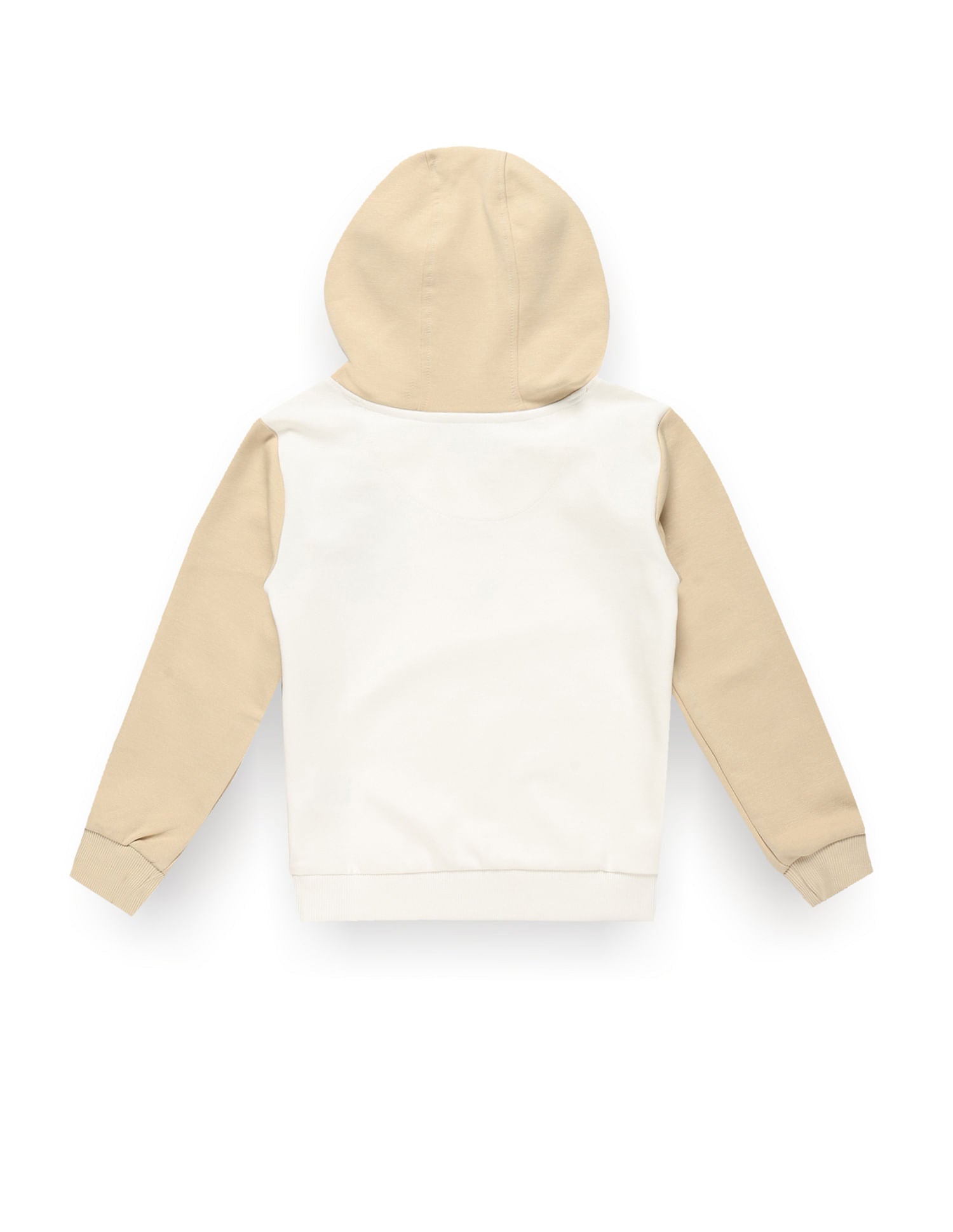 Colour Block Hooded Sweat Shirt Ecru - U.S. Polo Assn. India | Large