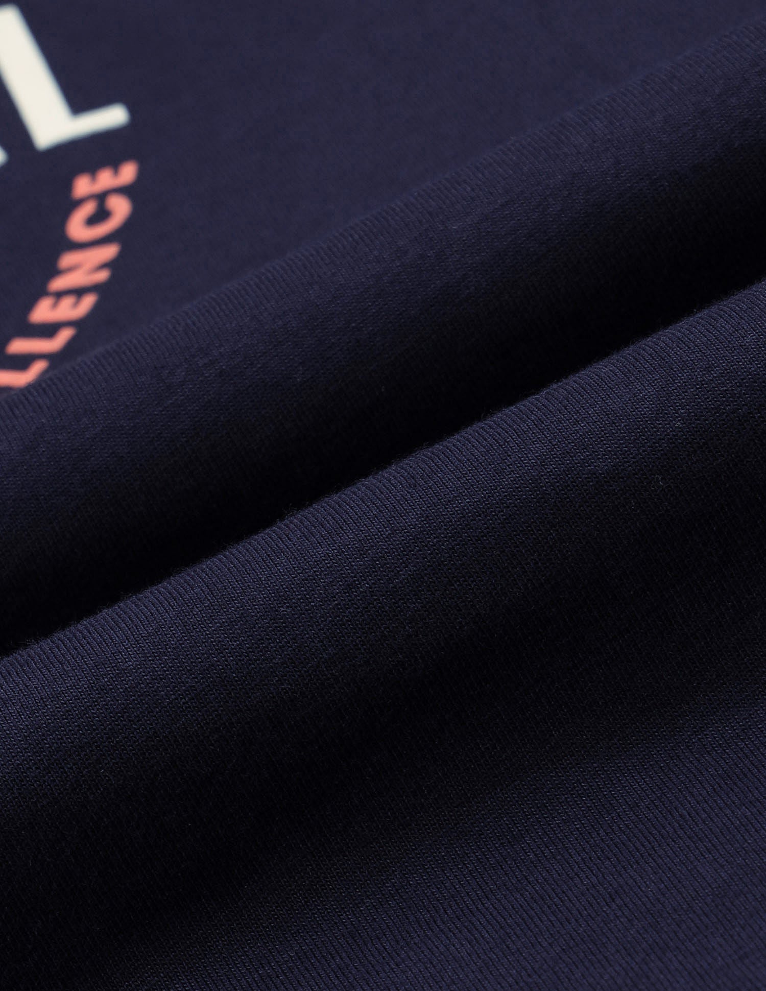 Brand Printed Regular Fit T-Shirt Navy - U.S. POLO ASSN. | Large