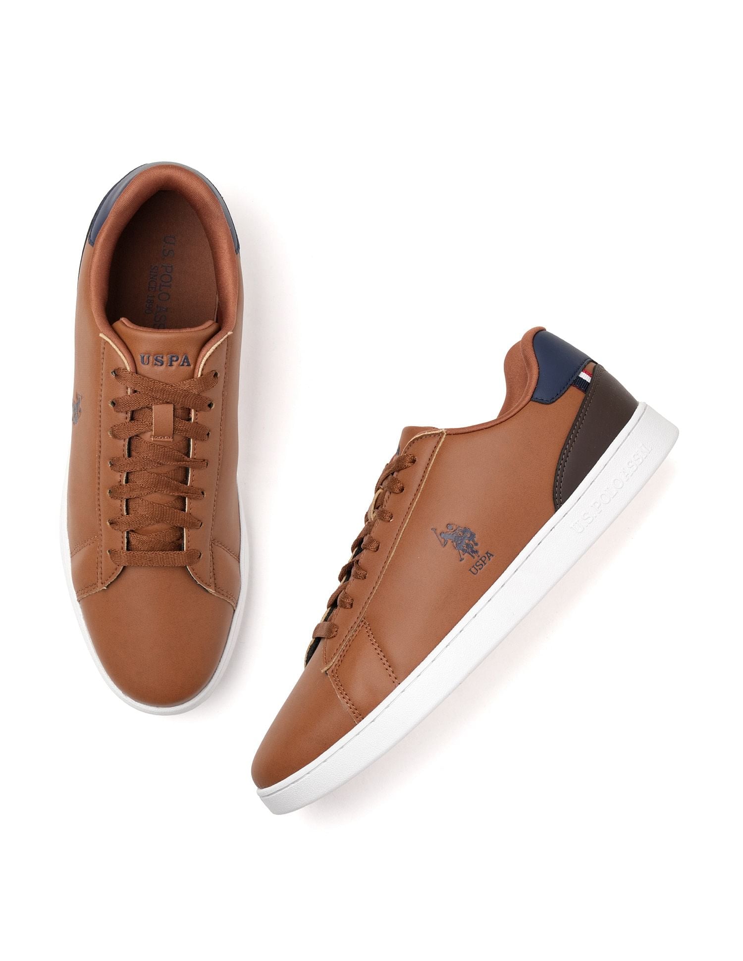 Men Rheede Colourblocked Sneakers Tan - U.S. POLO ASSN. | Large