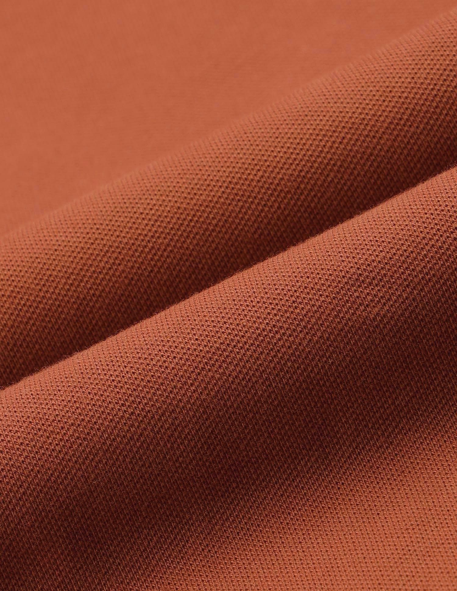 Regular Fit Solid Polo Shirt Rust - U.S. POLO ASSN. | Large