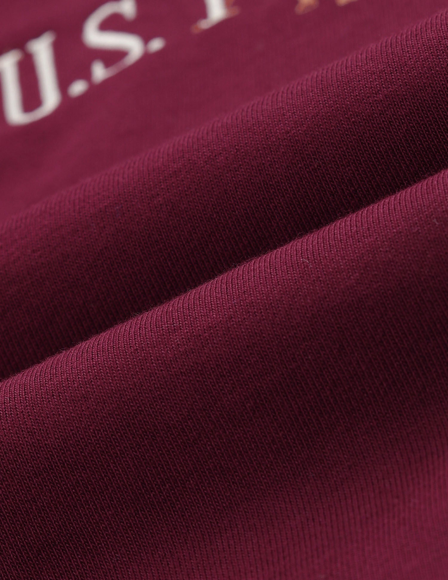 Regular Fit Brand Printed Sweatshirt Maroon - U.S. POLO ASSN. | Large