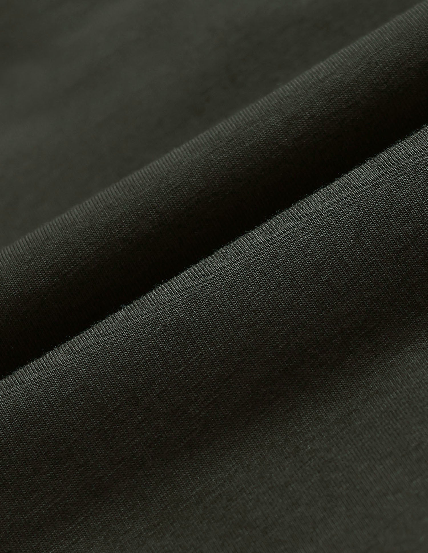 Brand Printed Regular Fit T-Shirt Olive - U.S. POLO ASSN. | Large