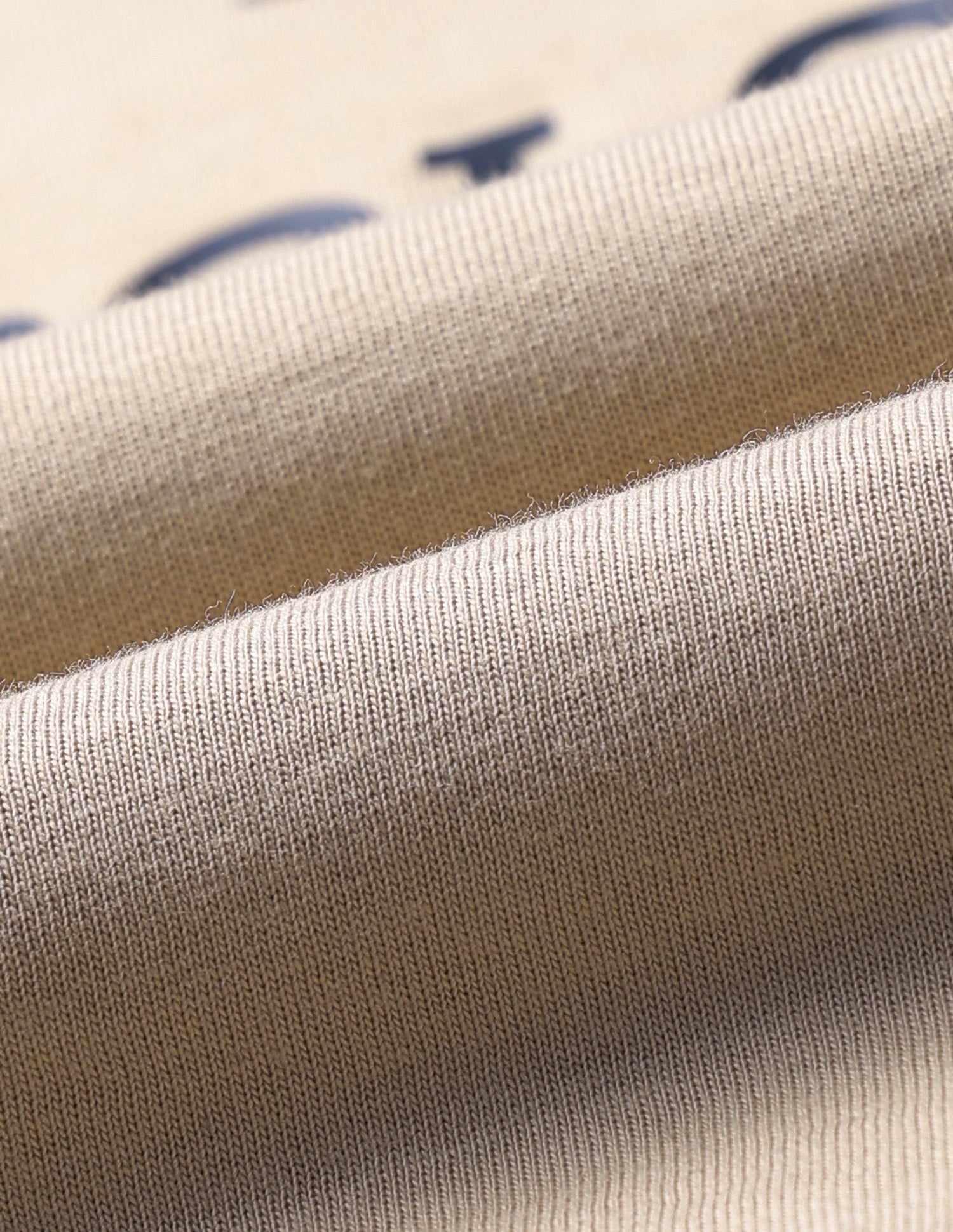 Brand Printed Slim Fit T-Shirt Beige - U.S. POLO ASSN. | Large