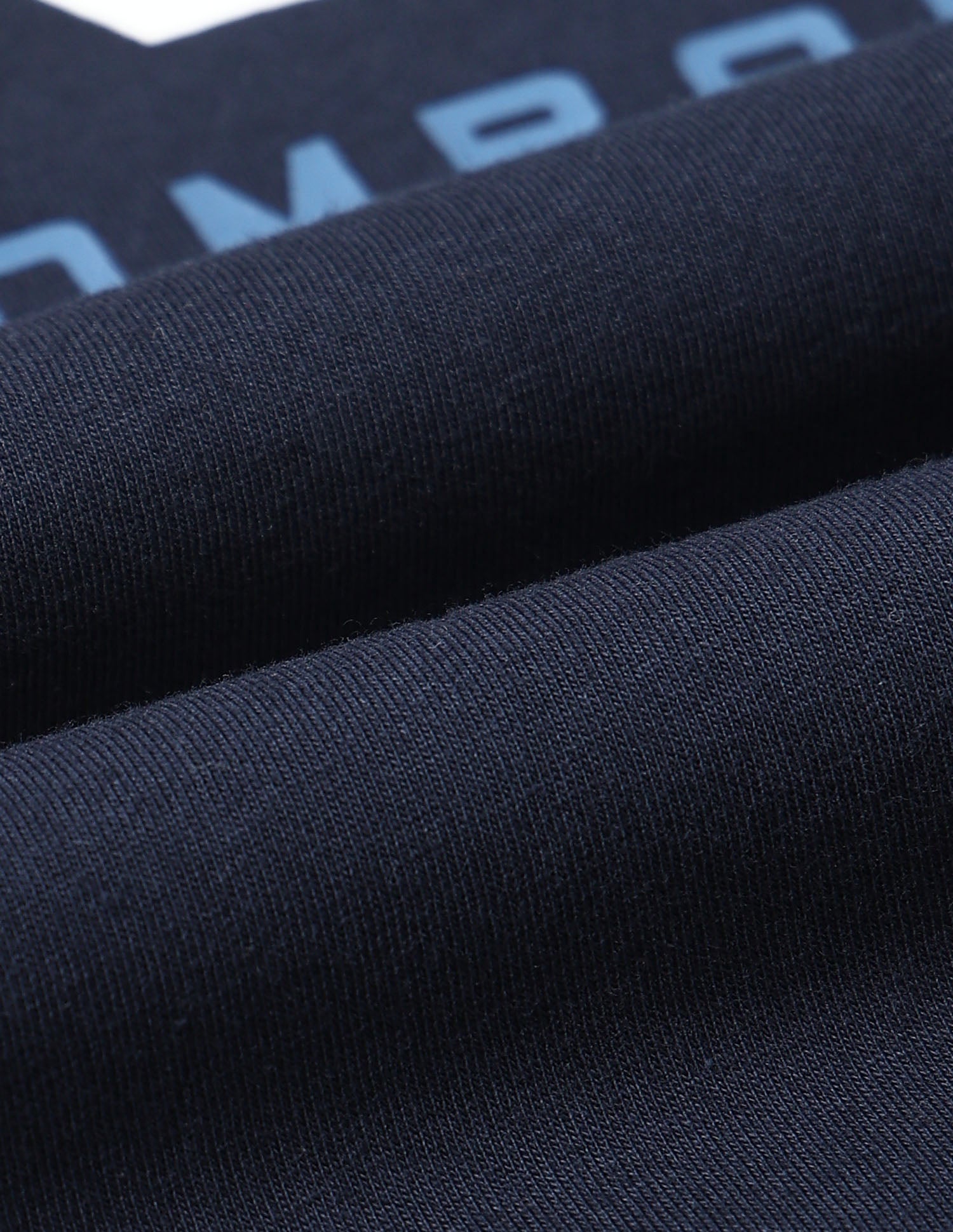 Muscle Fit Brand Printed T- Shirt Navy - U.S. POLO ASSN. | Large