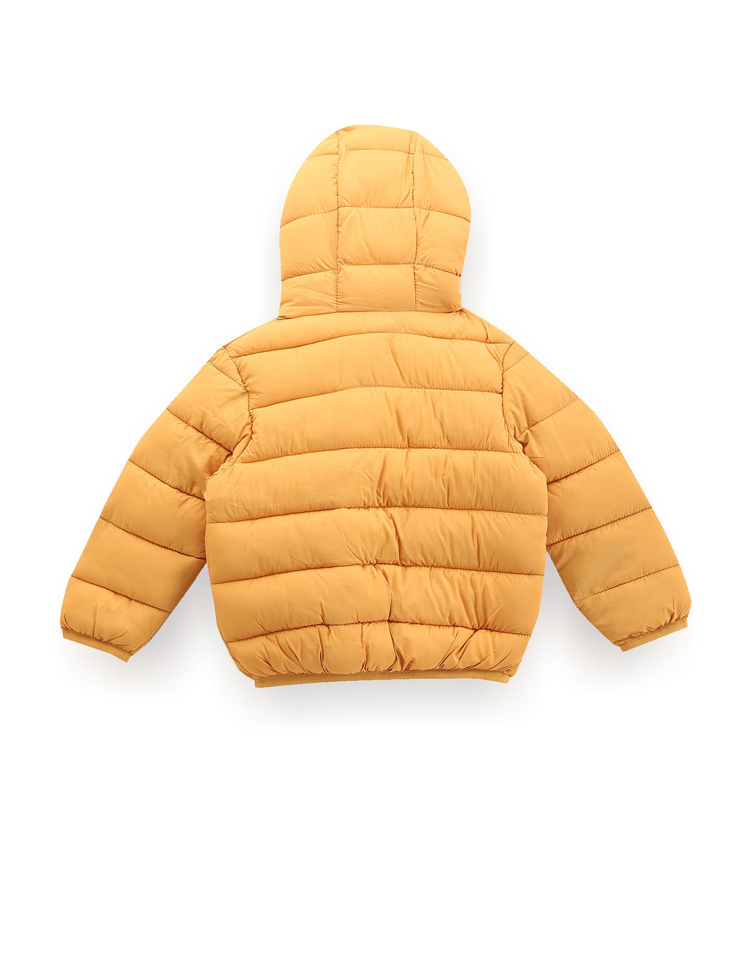 Boys Lightweight Puffer Jacket Dark Yellow - U.S. POLO ASSN. | Large