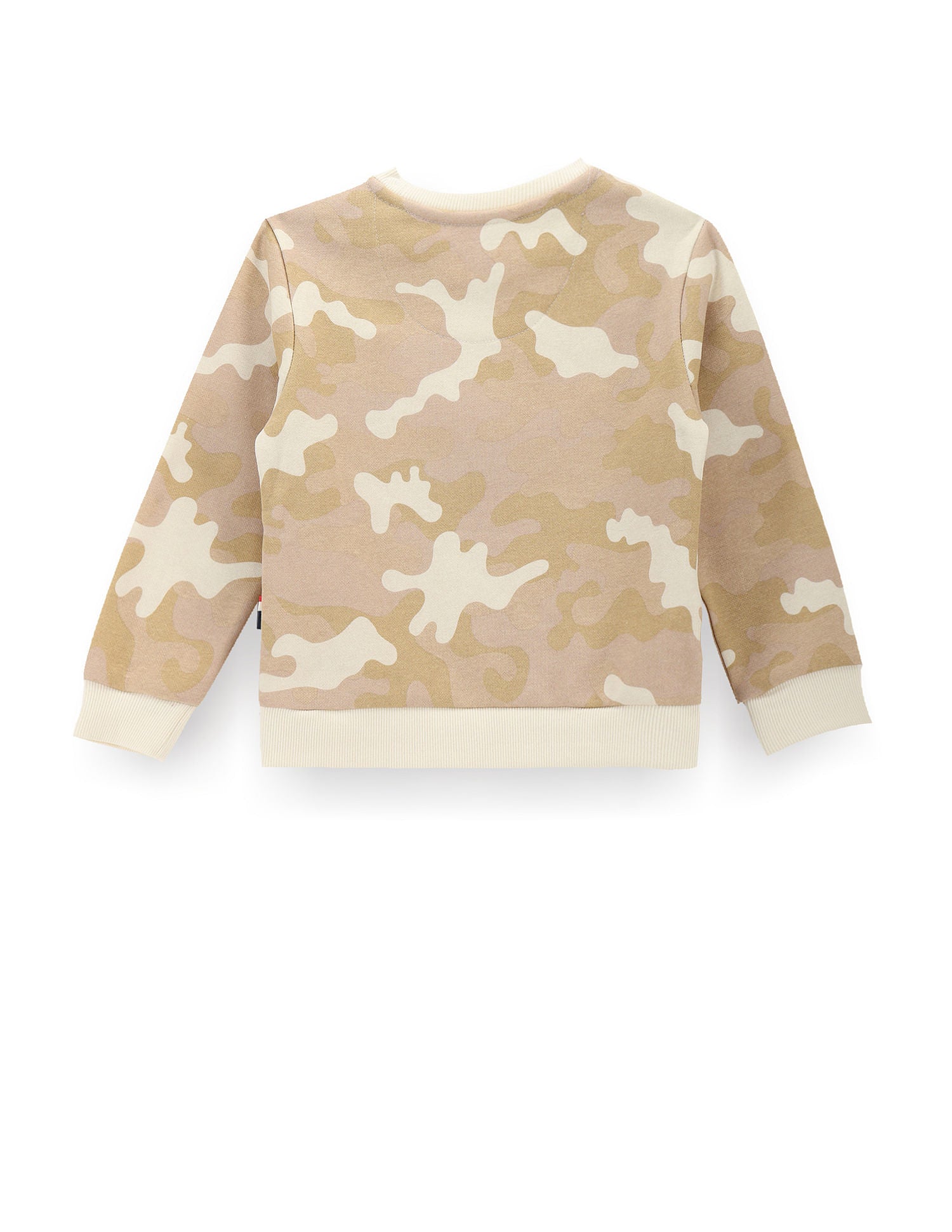 Boys Camouflage Print Sweatshirt Beige - U.S. POLO ASSN. | Large