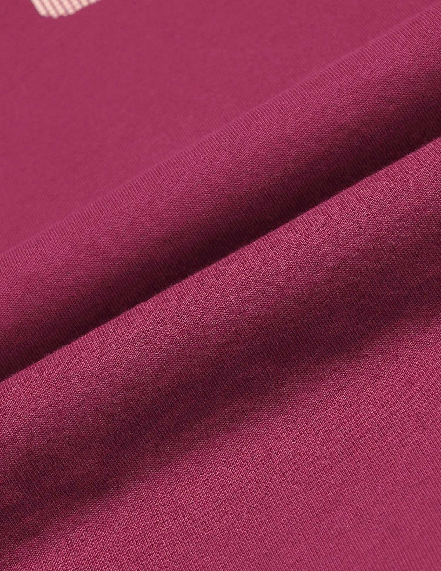 Regular Fit Brand Printed T-Shirt Wine - U.S. POLO ASSN. | Large