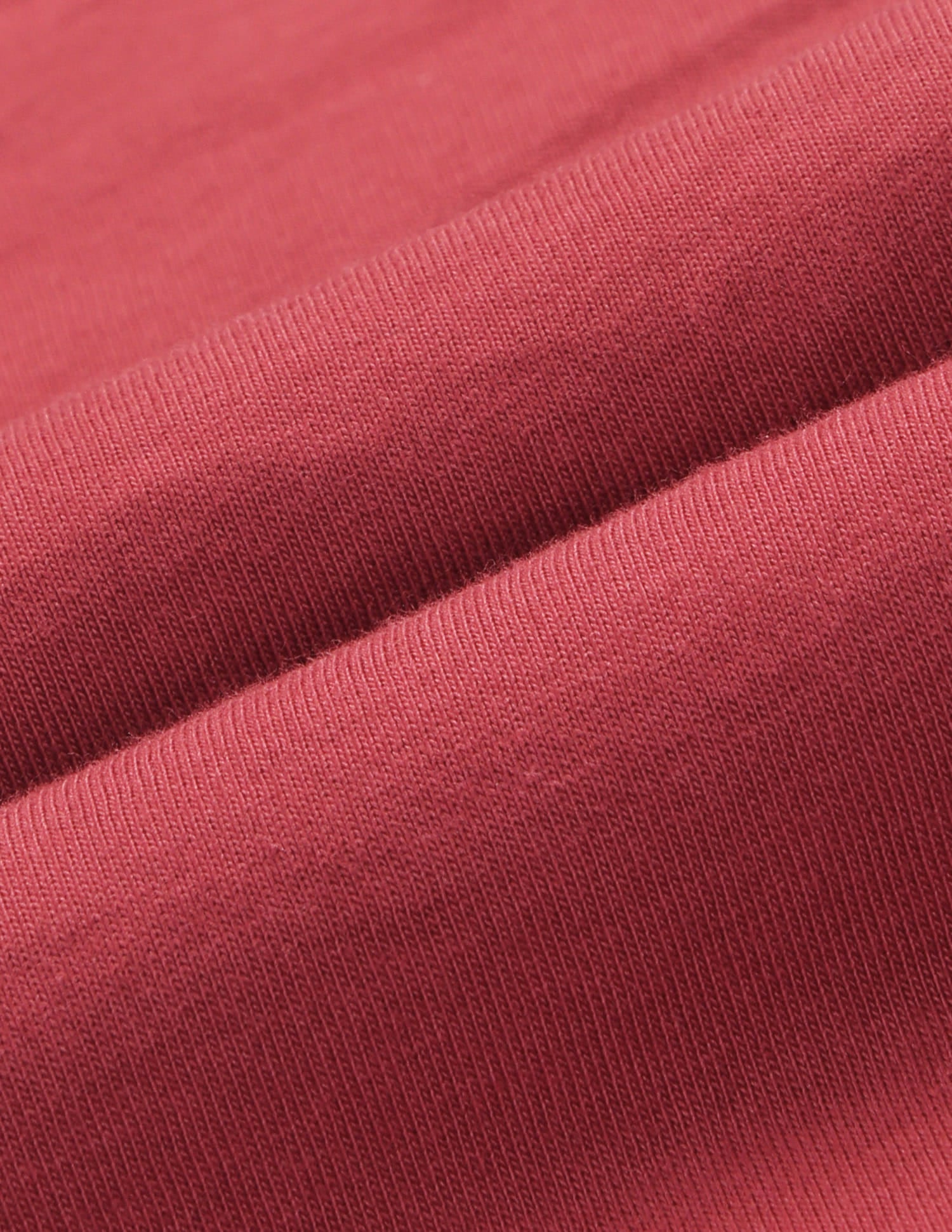 Boxy Fit Brand Printed T-Shirt Red - U.S. Polo Assn. India | Large