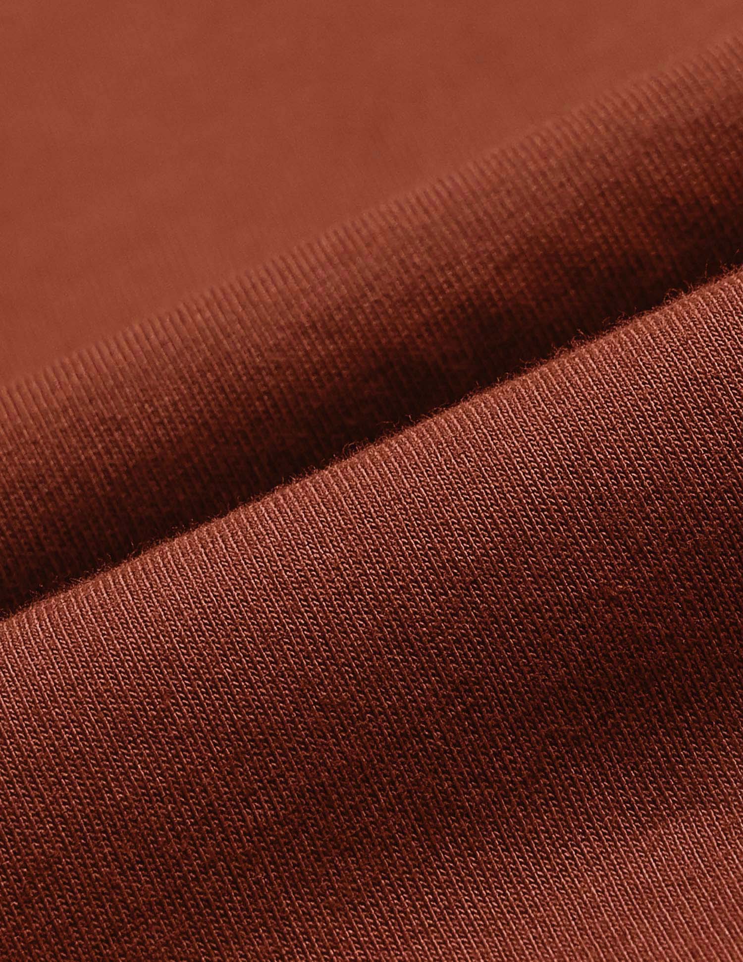 Pure Cotton Muscle Fit T-Shirt Rust - U.S. POLO ASSN. | Large