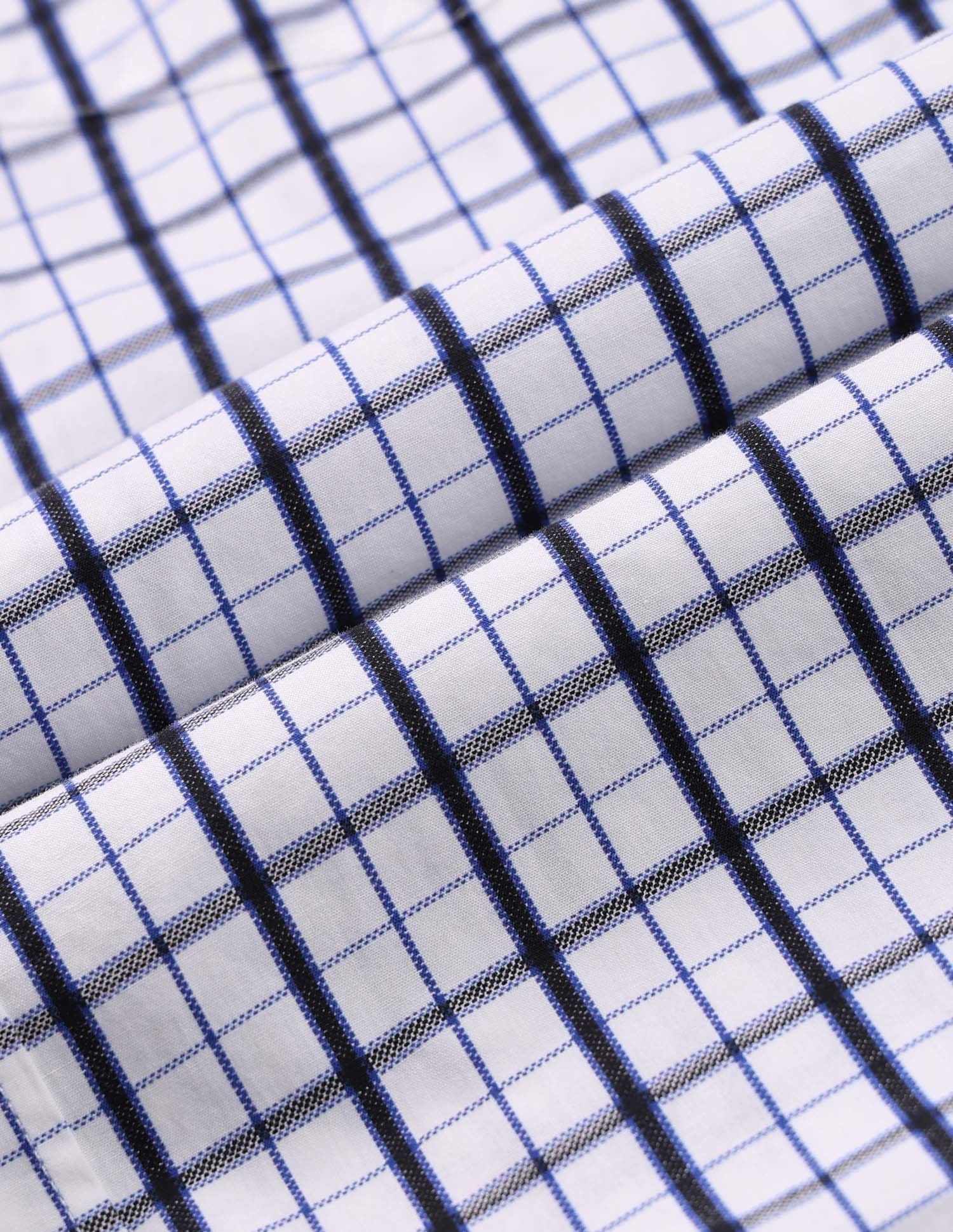 Grid Oxford Shirt White - U.S. POLO ASSN. | Large