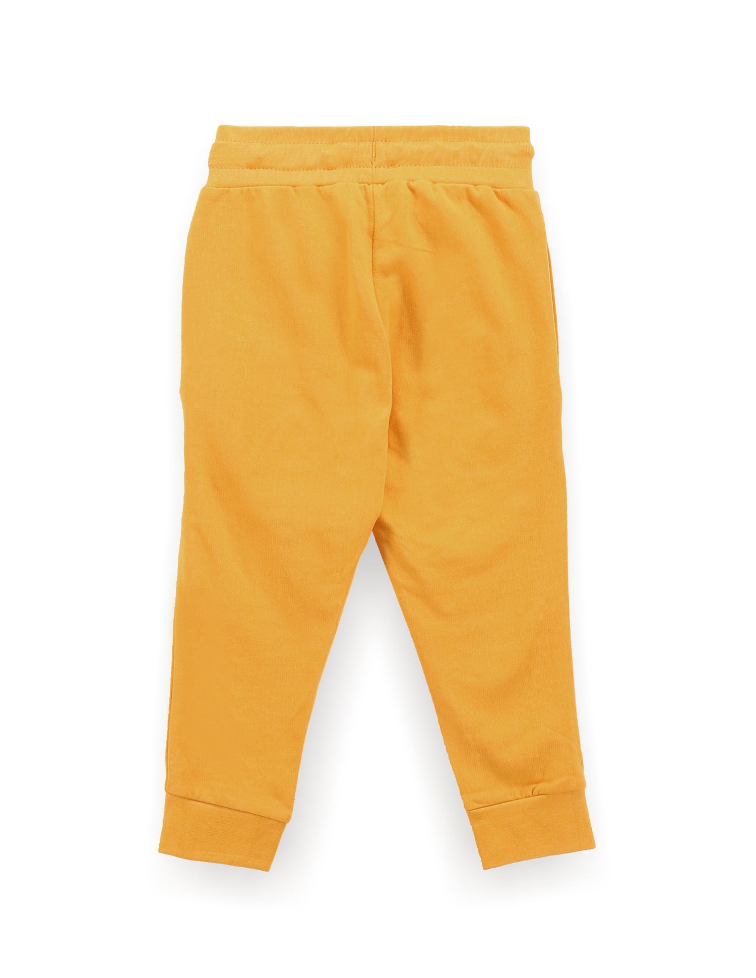 Boys Brand Print Joggers Mustard - U.S. Polo Assn. India | Large