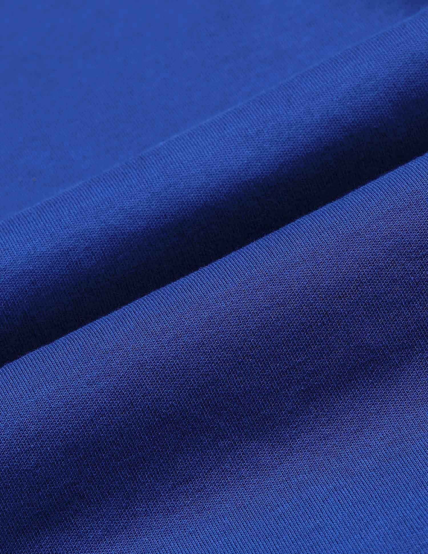 Regular Fit Solid Polo Shirt Royal Blue - U.S. POLO ASSN. | Large