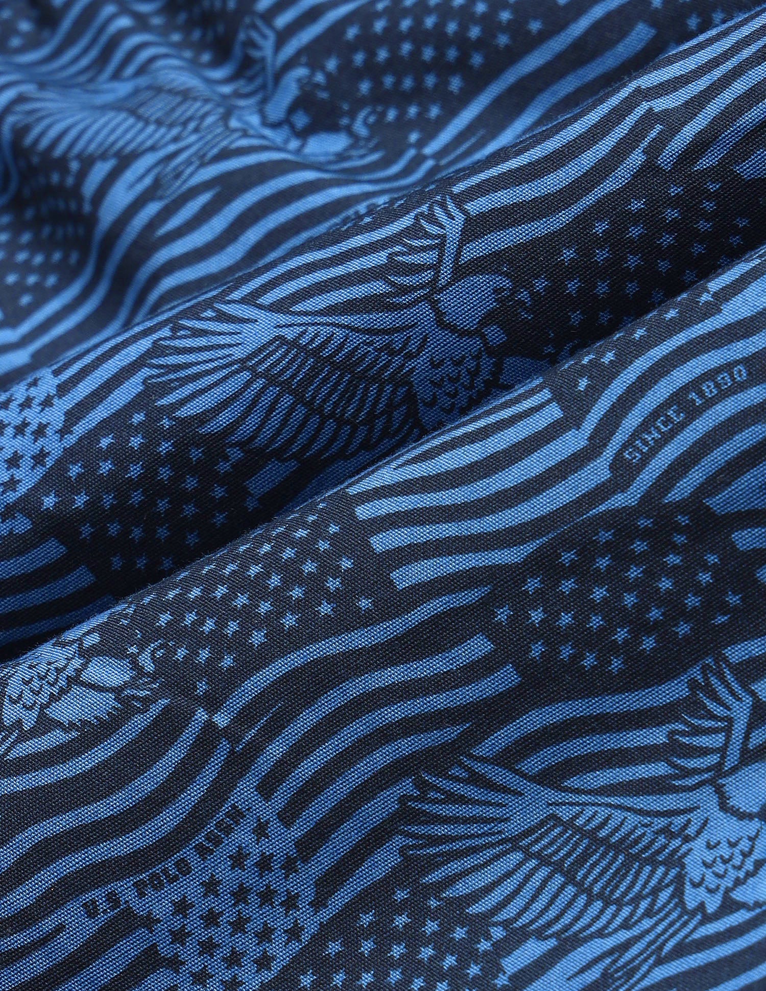 Pure Cotton Printed I657-PR Boxers - Pack Of 1 Blue Eagle - U.S. Polo Assn. India | Large