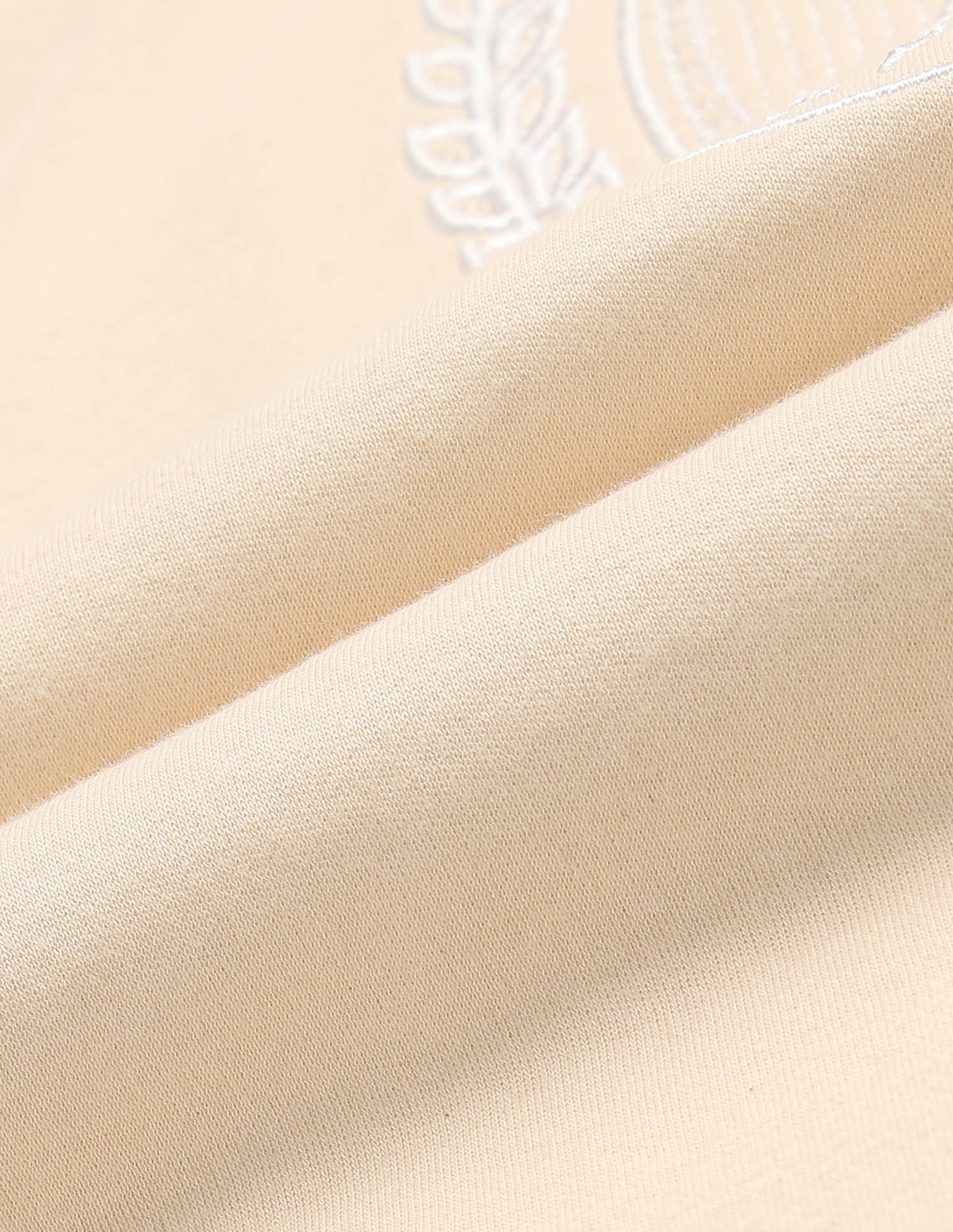 Boys Brand Embroidered Pure Cotton T Shirt Beige - U.S. POLO ASSN. | Large