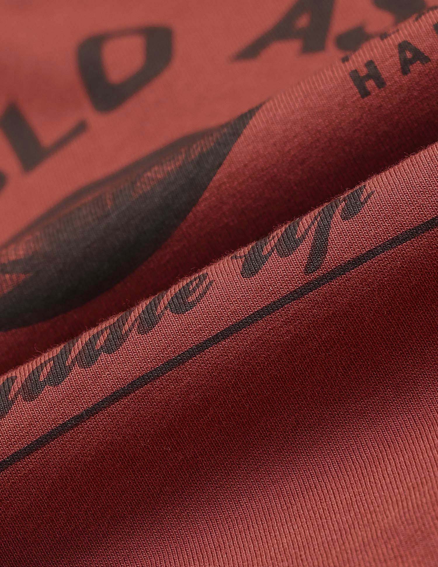 Boys Graphic Brand Printed Regular Fit T Shirt Rust - U.S. POLO ASSN. | Large