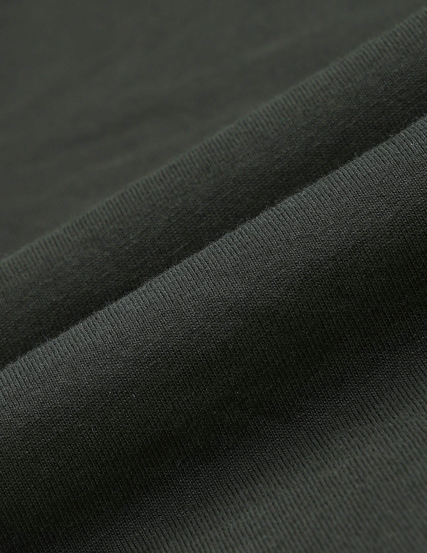 Graphic Printed Regular Fit T Shirt Olive - U.S. POLO ASSN. | Large