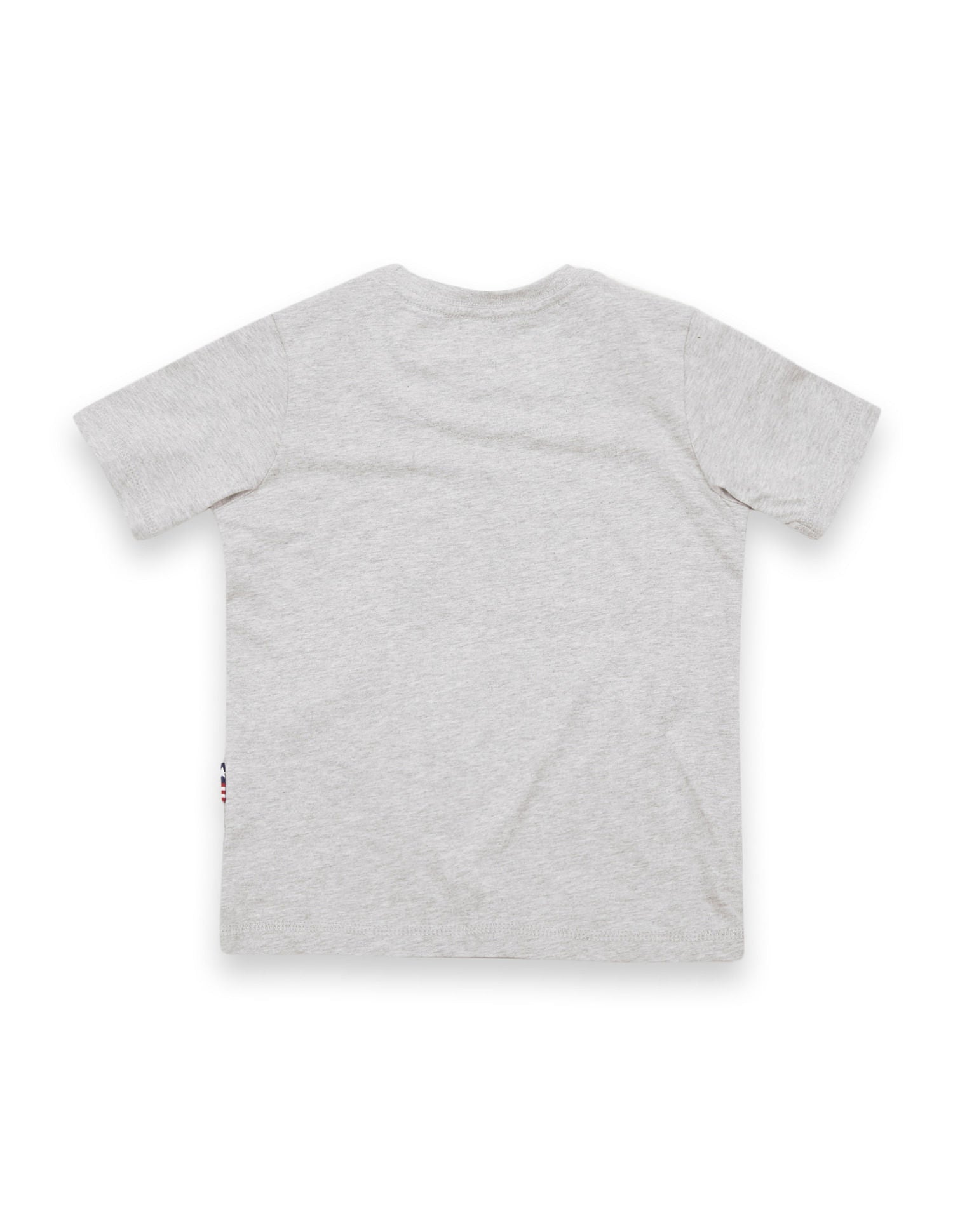 Boys Printed Regular Fit T-Shirt Grey - U.S. POLO ASSN. | Large