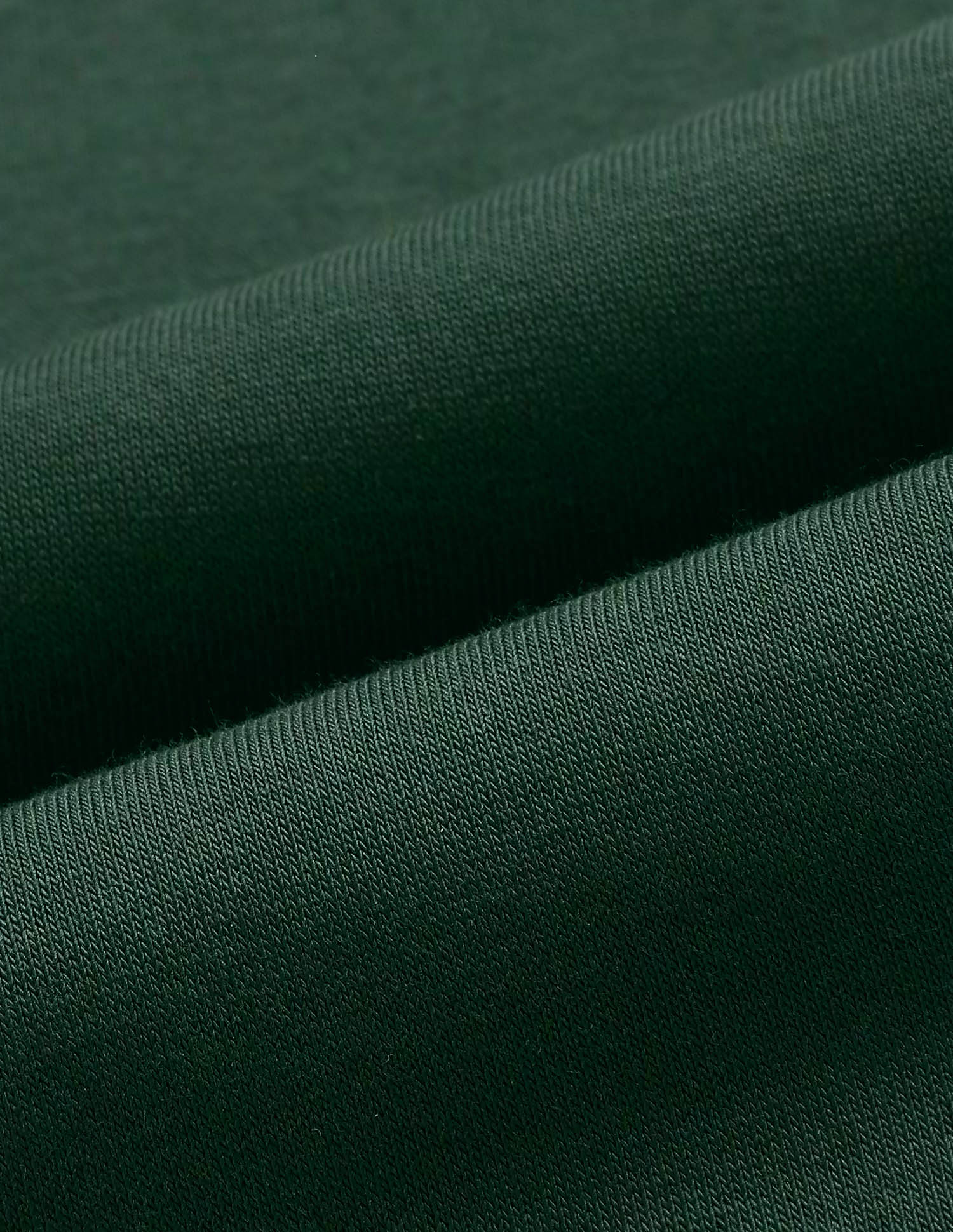 Brand Embroidered Regular Fit Sweatshirt Green - U.S. POLO ASSN. | Large