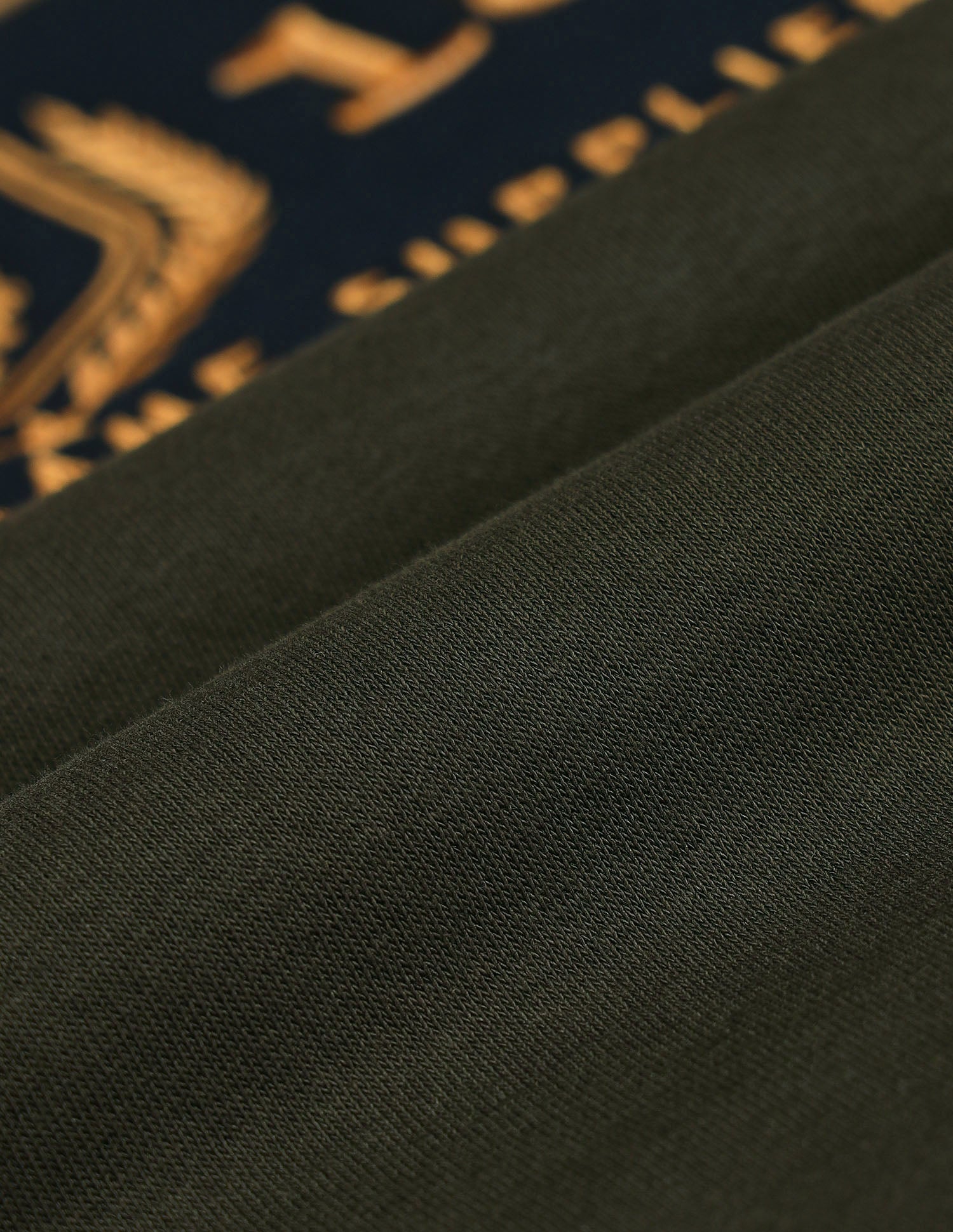 Brand Printed Regular Fit Sweatshirt Teal - U.S. POLO ASSN. | Large