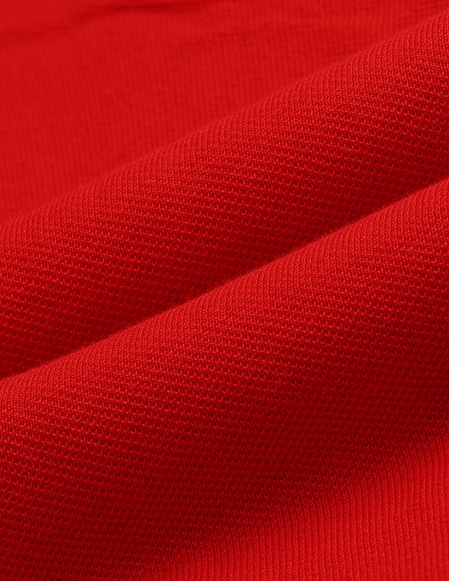 Relaxed Fit Solid Polo Shirt Red - U.S. Polo Assn. India | Large