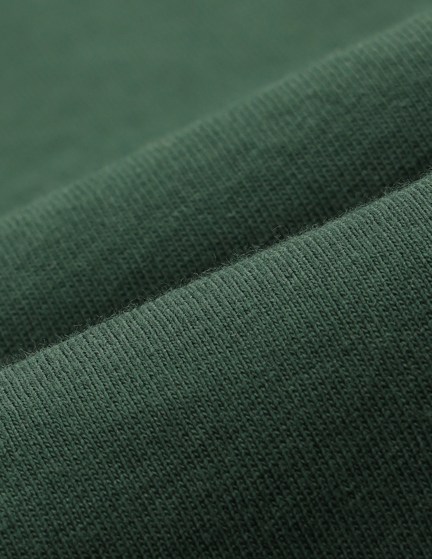 Brand Embossed Regular Fit T-Shirt Dark Green - U.S. Polo Assn. India | Large