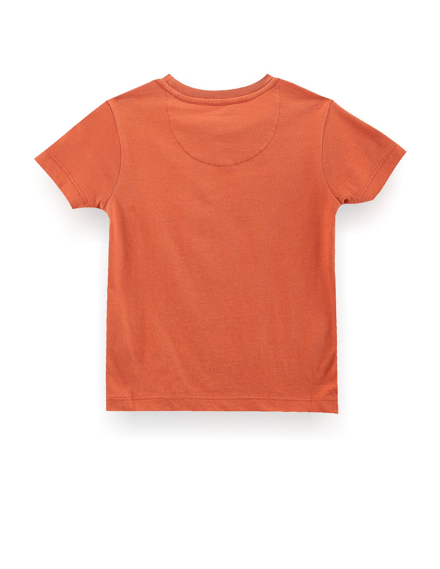 Boys Graphic Print Cotton T-Shirt Rust - U.S. POLO ASSN. | Large