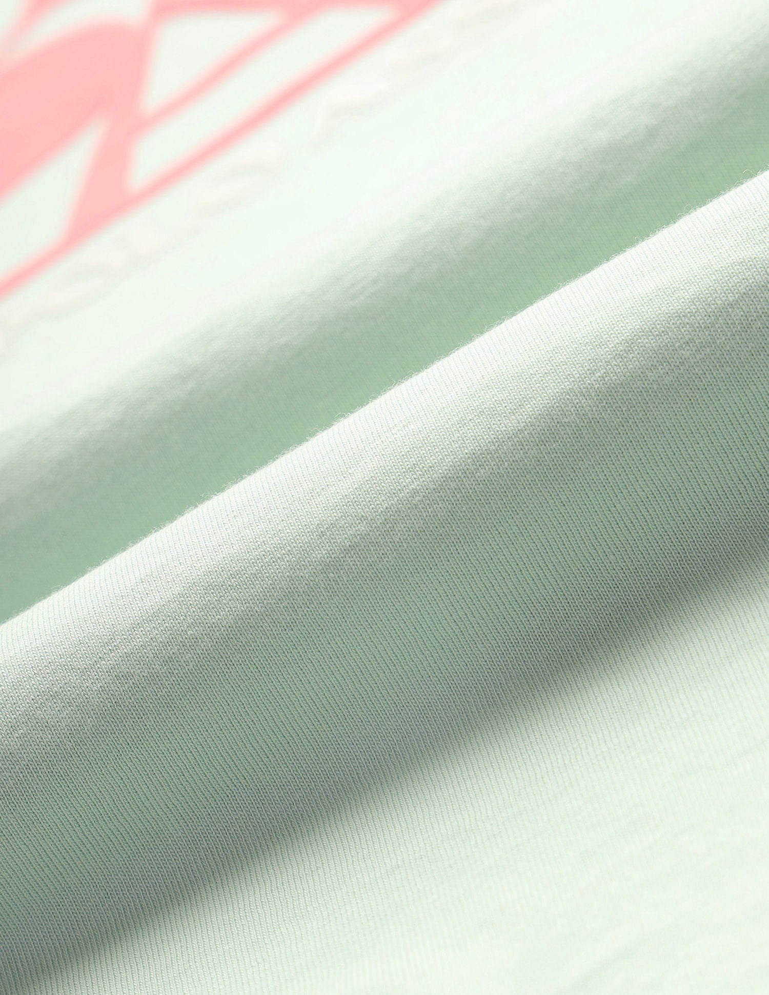 HD Print Regular Fit T-Shirt Mint - U.S. Polo Assn. India | Large