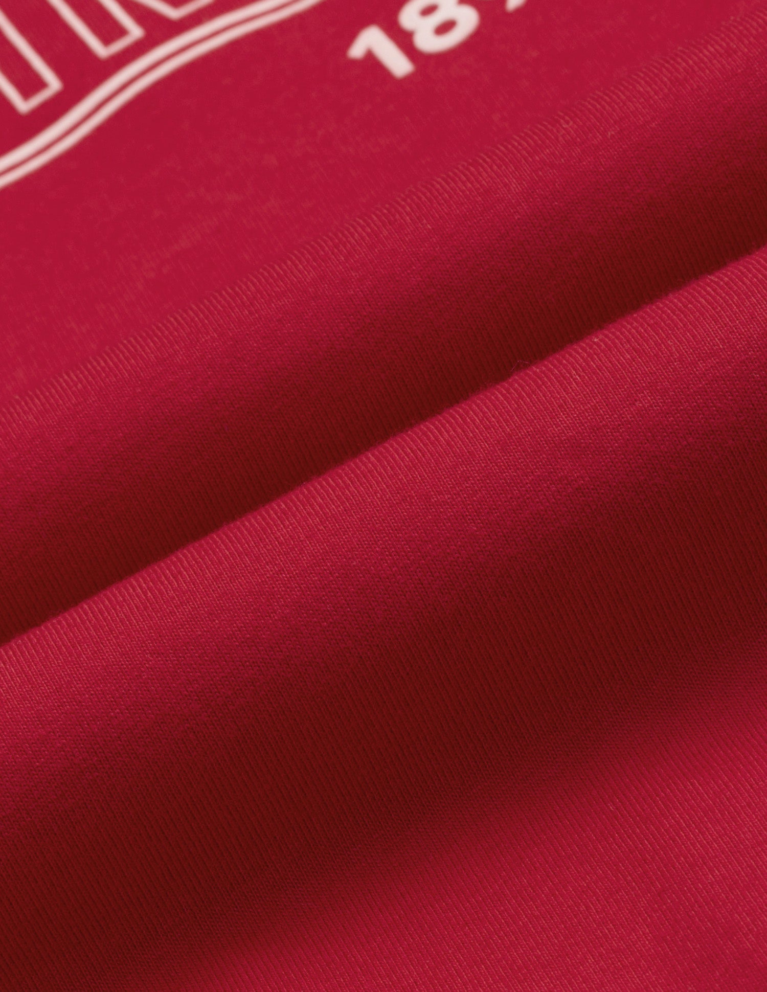 Shrunken Regular Fit T-Shirt Red - U.S. Polo Assn. India | Large