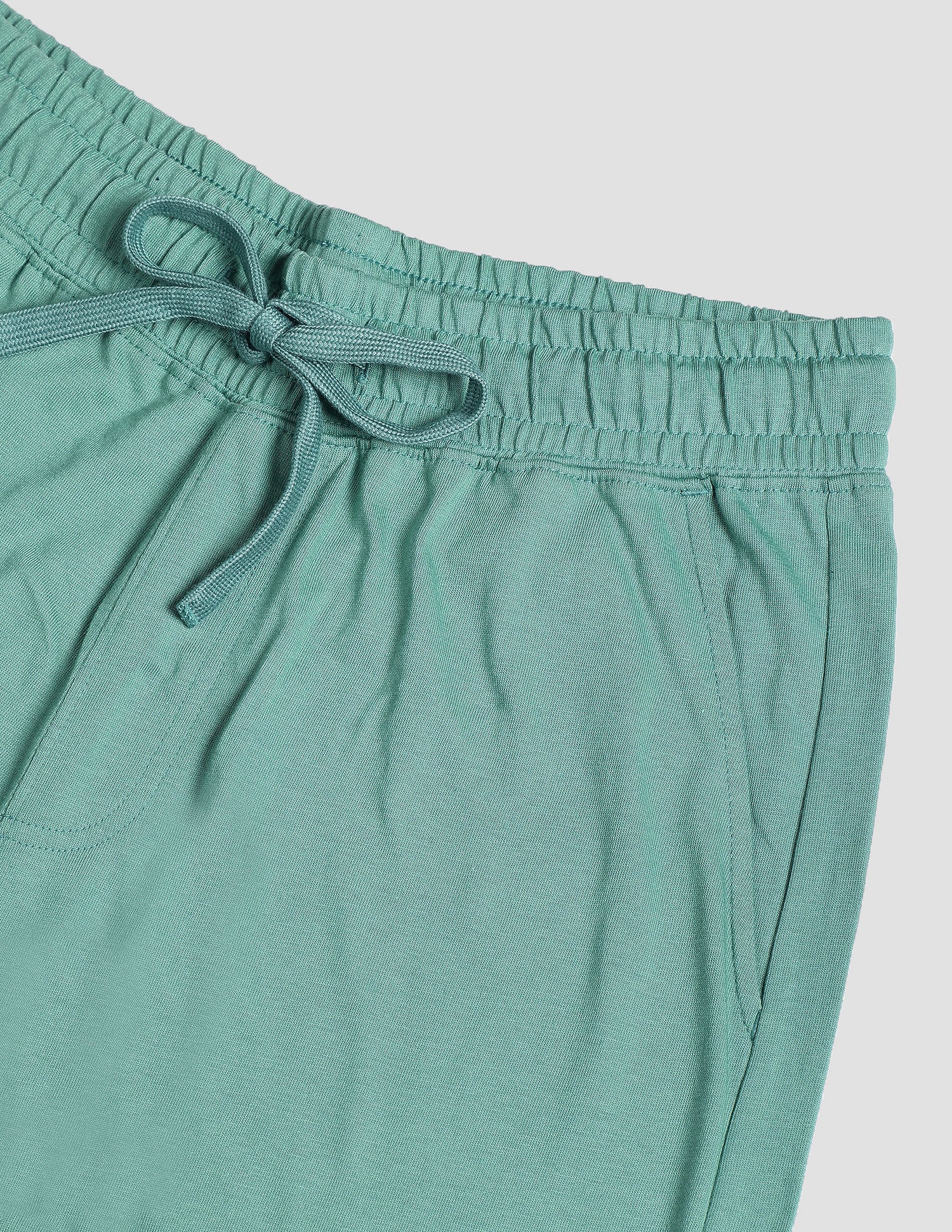 Solid Logo IYBF Knit Shorts - Pack Of 1 Light Green - U.S. POLO ASSN. | Large