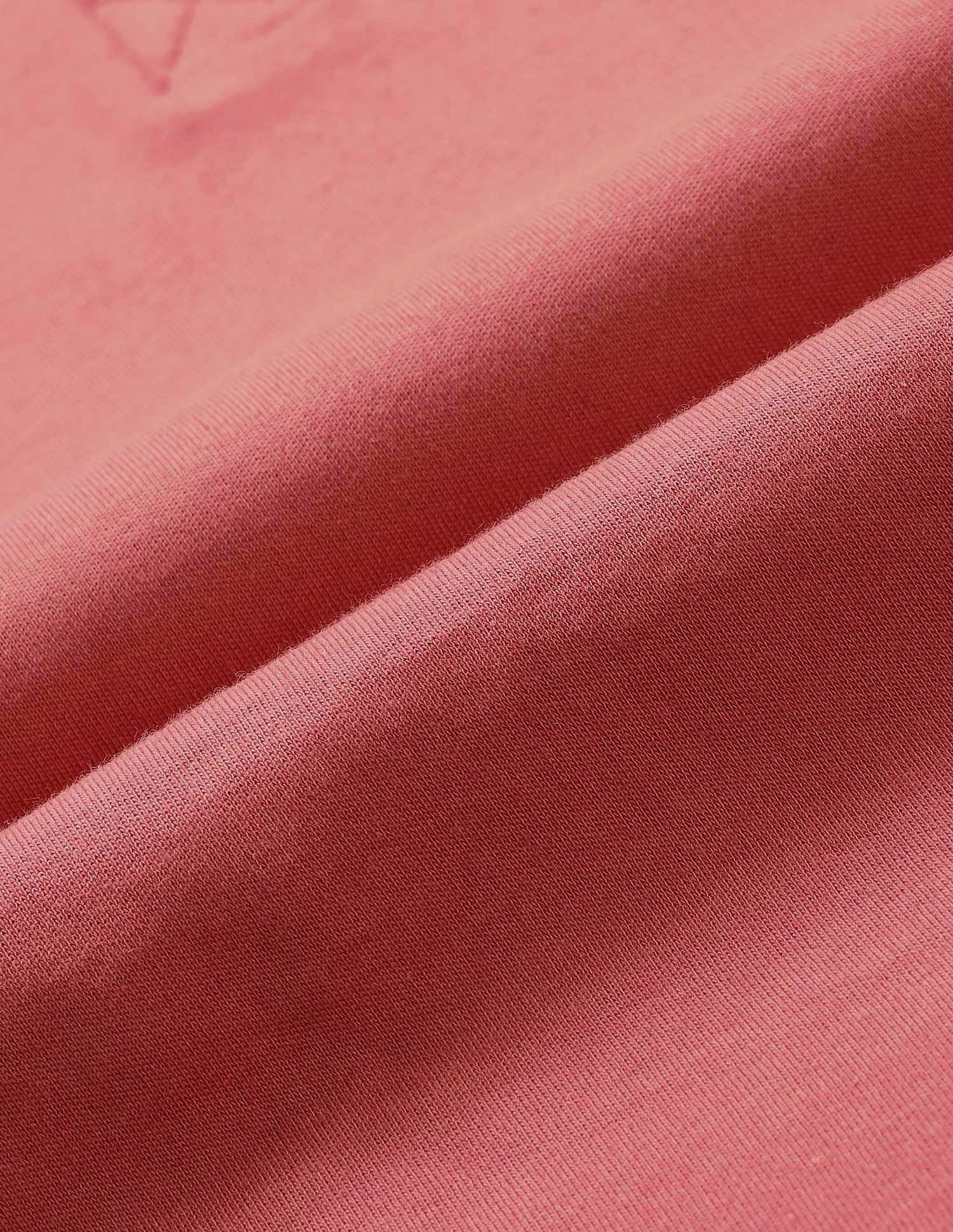 Regular Fit Polo Shirt Pink - U.S. POLO ASSN. | Large