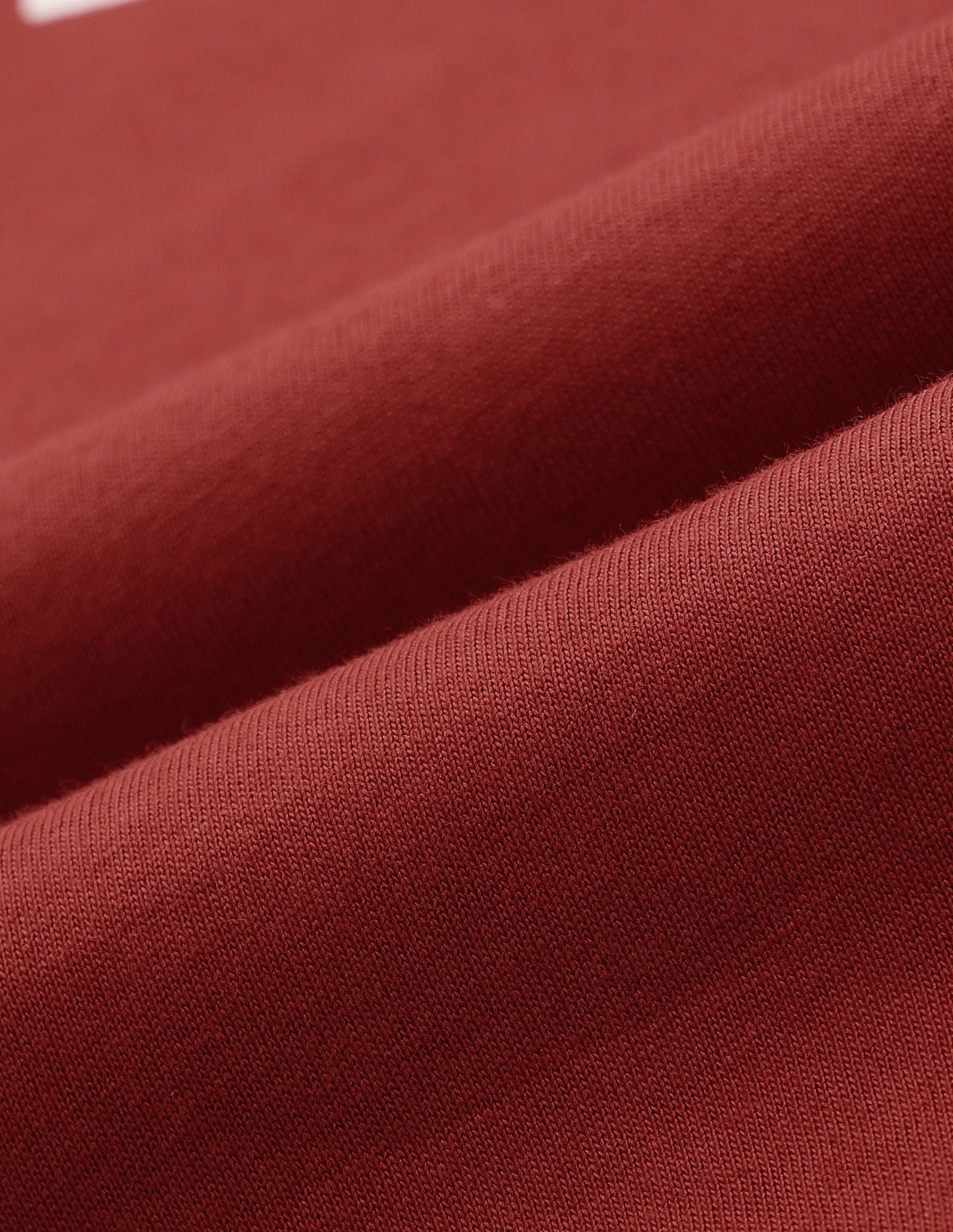 Pure Cotton Brand Printed Slim Fit T-Shirt Rust - U.S. POLO ASSN. | Large