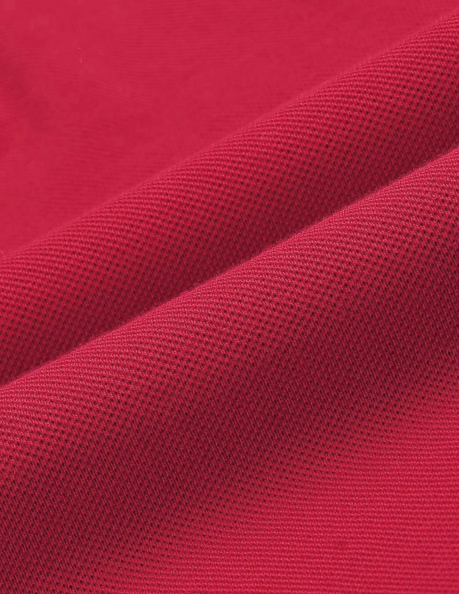 Striped Collar Solid Polo Shirt Red - U.S. POLO ASSN. | Large