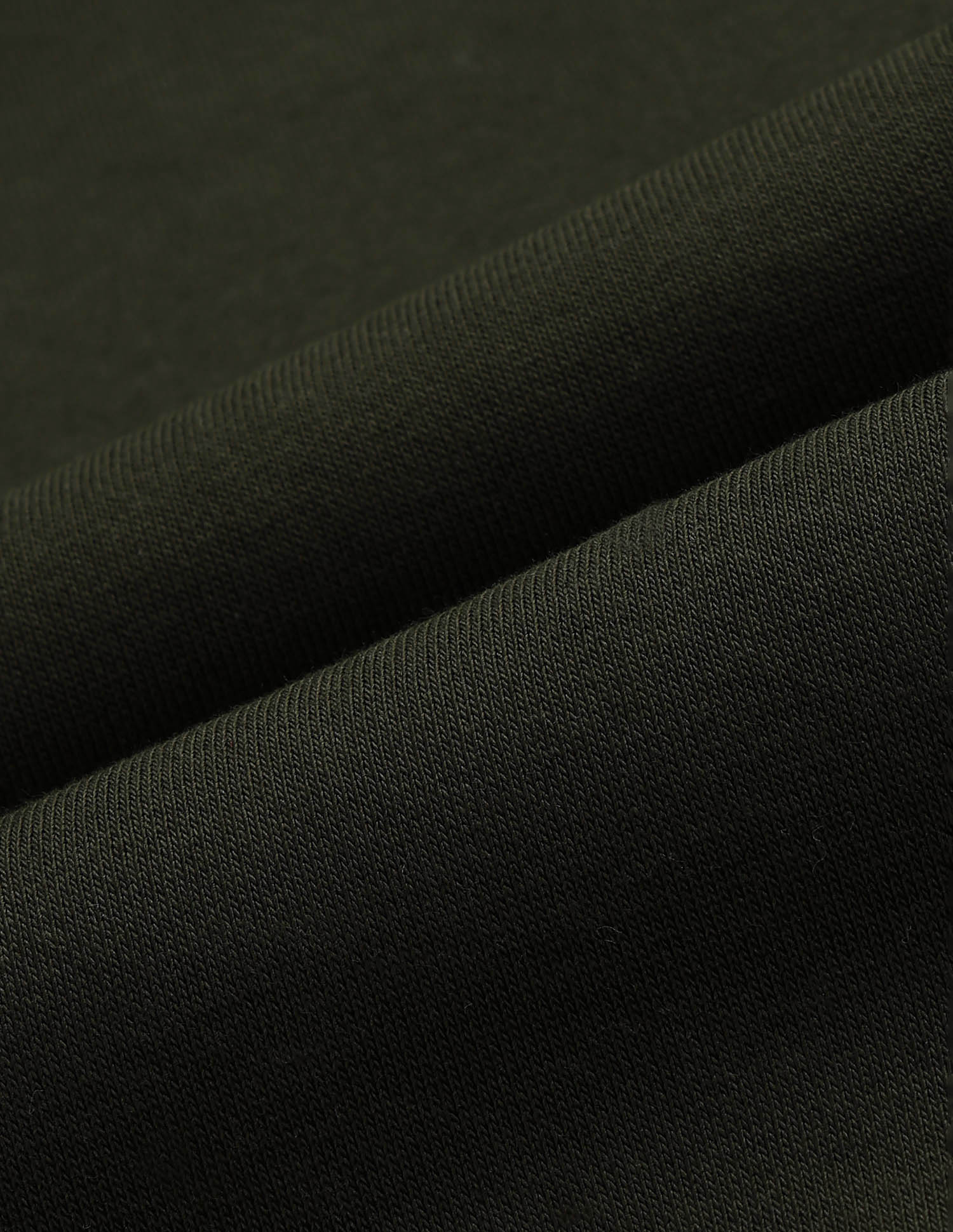 Brand Embossed Regular Fit Sweatshirt Olive - U.S. POLO ASSN. | Large