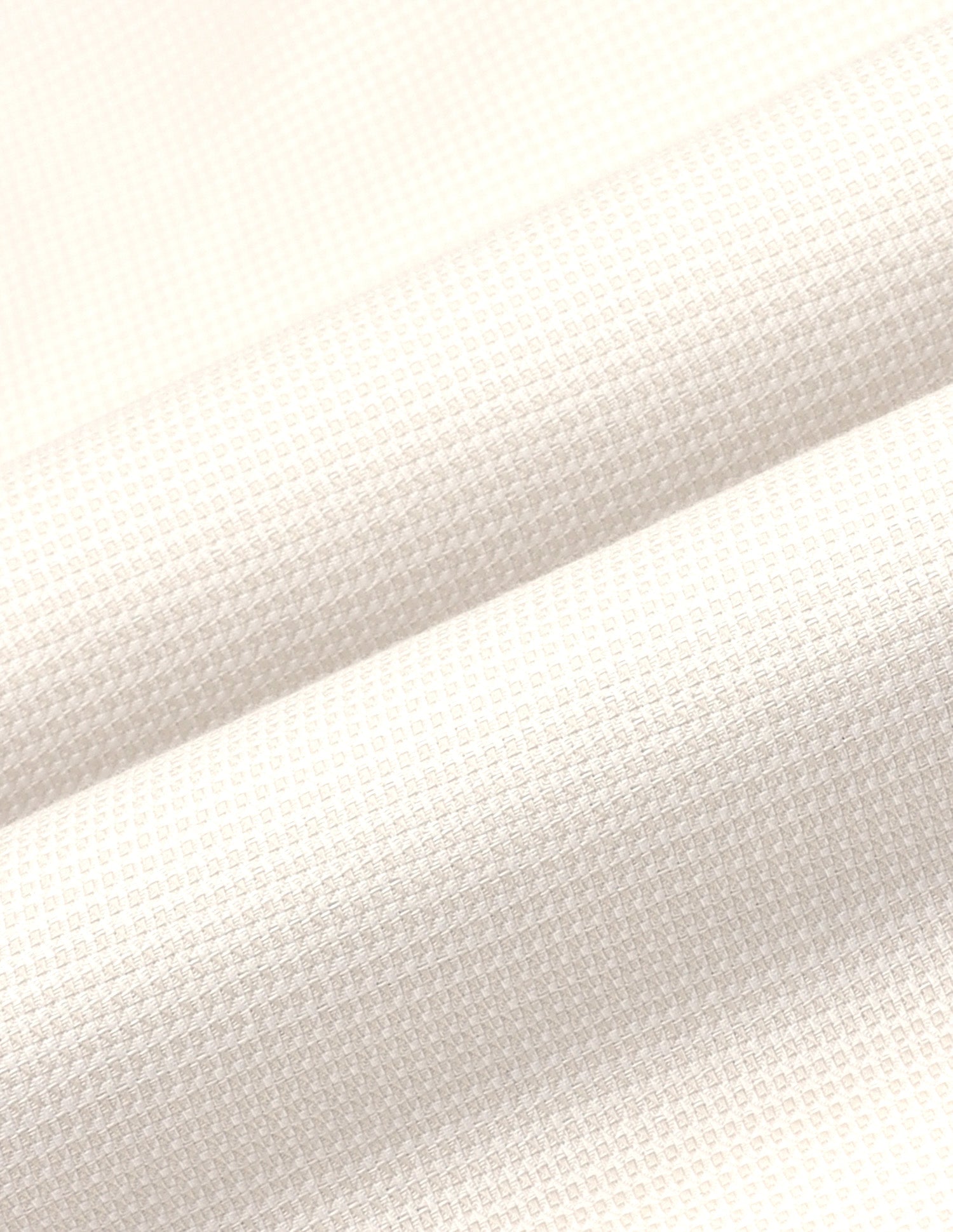 Textured Dobby Shirt Ivory - U.S. Polo Assn. India | Large