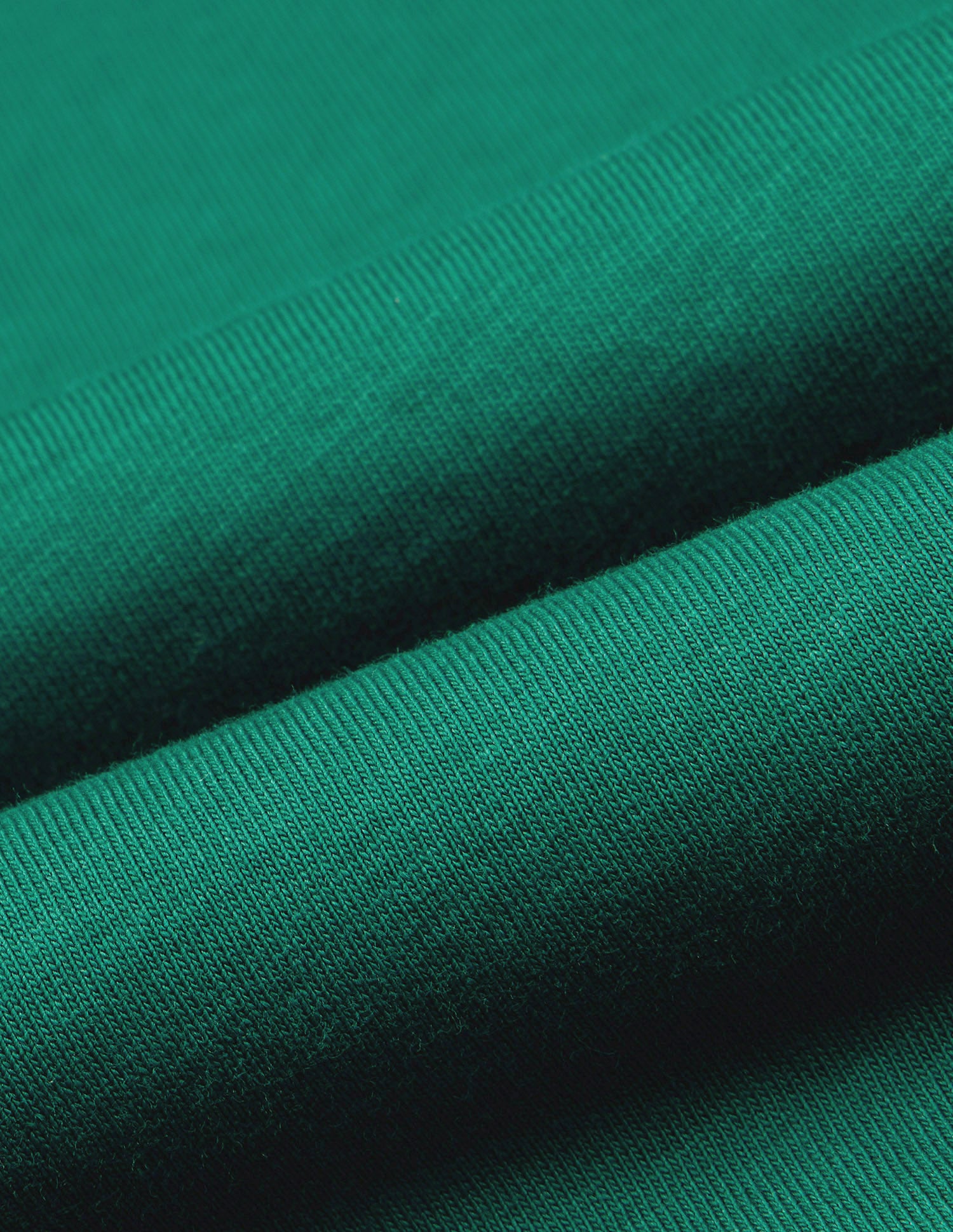 Brand Printed Boxy Fit T-Shirt Dark Green - U.S. Polo Assn. India | Large