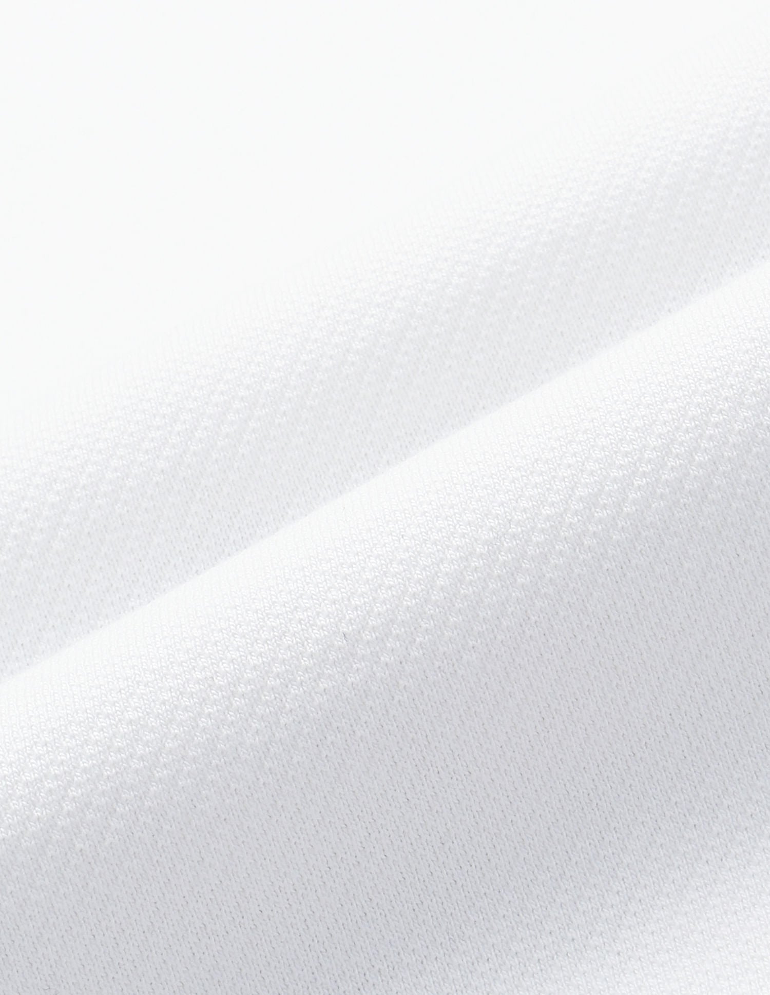 Solid Cotton T-Shirt Ivory - U.S. POLO ASSN. | Large