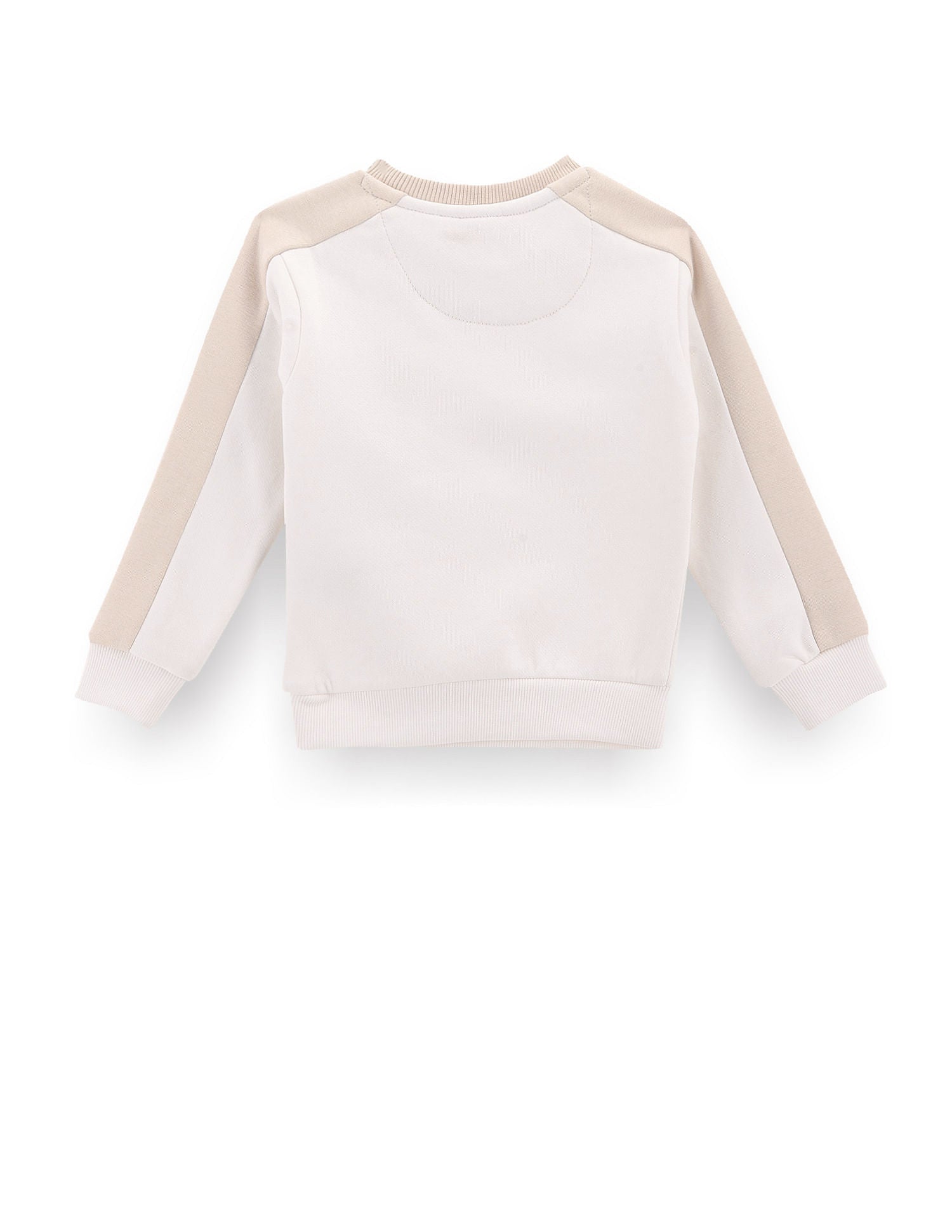 Boys Brand Embroidered Sweatshirt Beige and Ecru - U.S. POLO ASSN. | Large