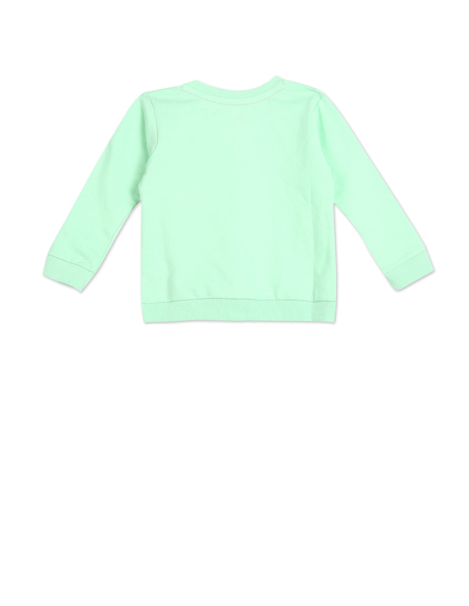 Crew Neck Printed Sweatshirt Light Green - U.S. POLO ASSN. | Large