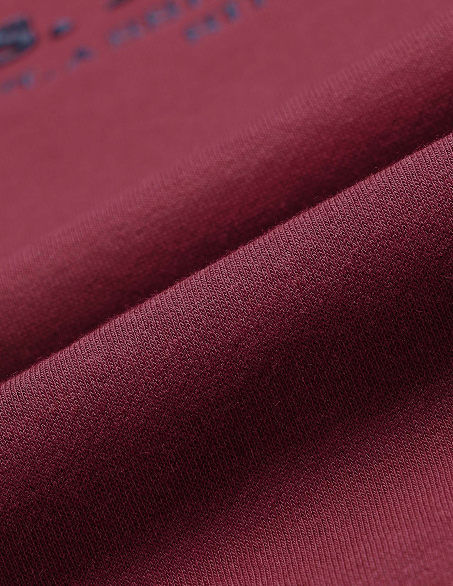 Brand Embroidered Regular Fit Sweatshirt Red - U.S. POLO ASSN. | Large