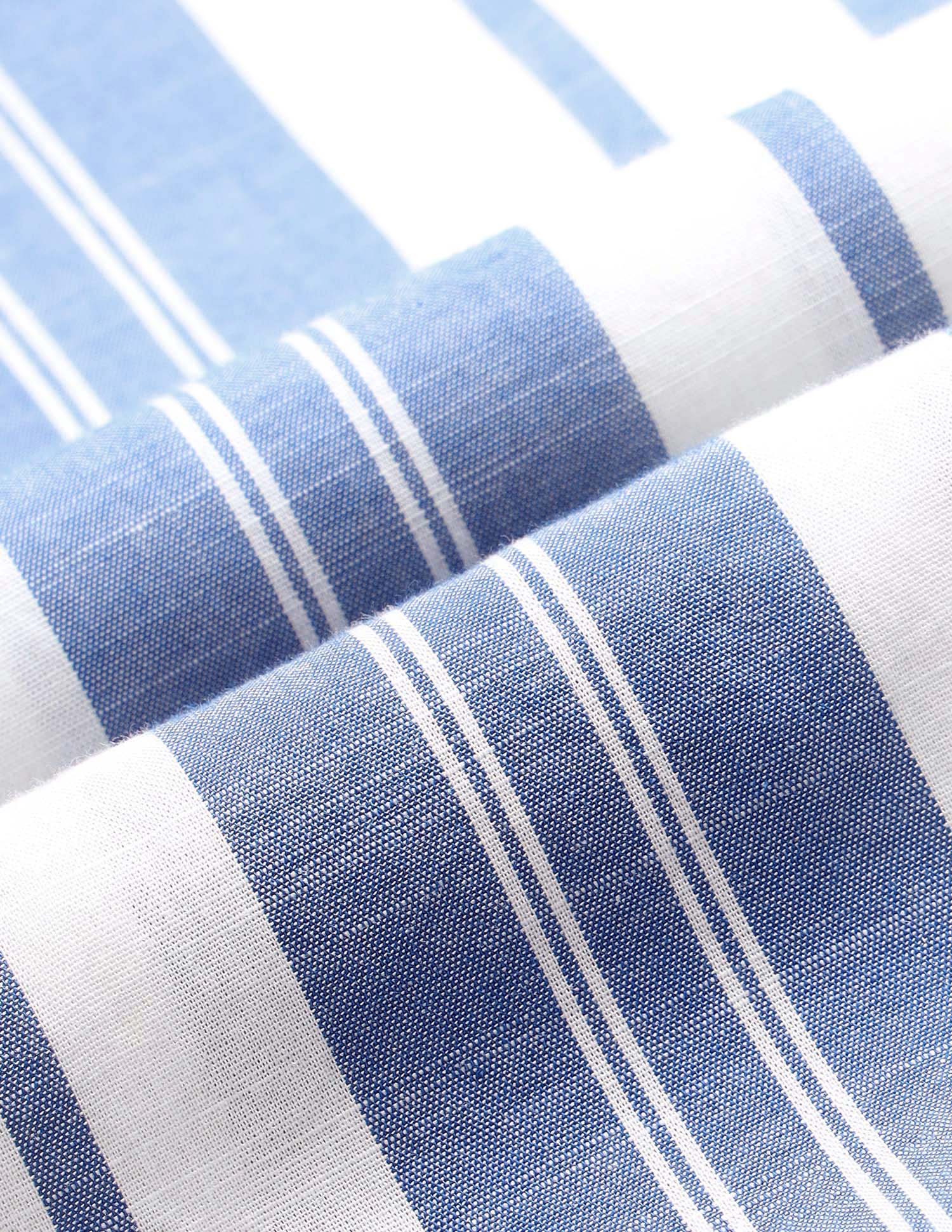 Vertical Striped Regular Fit Shirt Blue - U.S. Polo Assn. India | Large