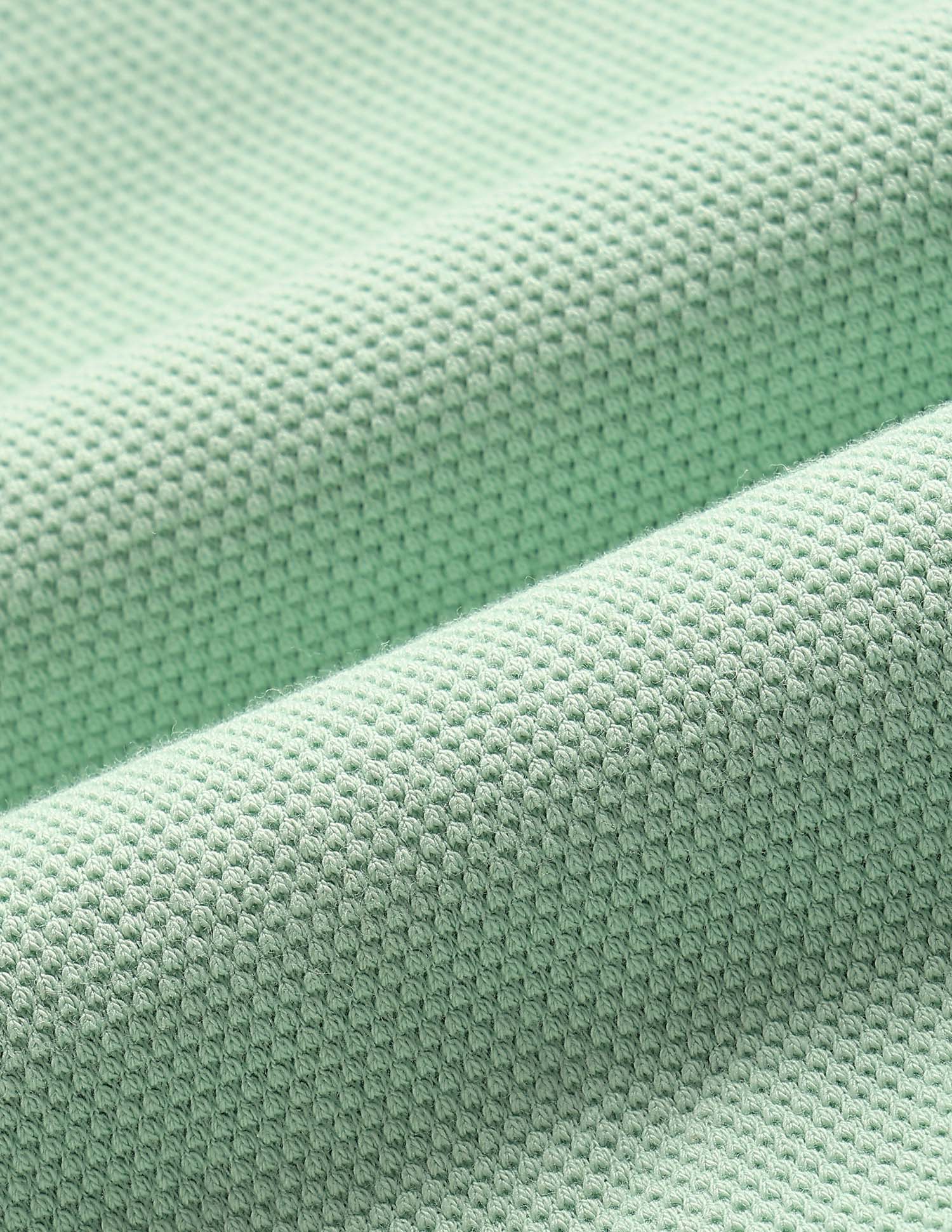 Solid Regular Fit Polo Shirt Green - U.S. Polo Assn. India | Large