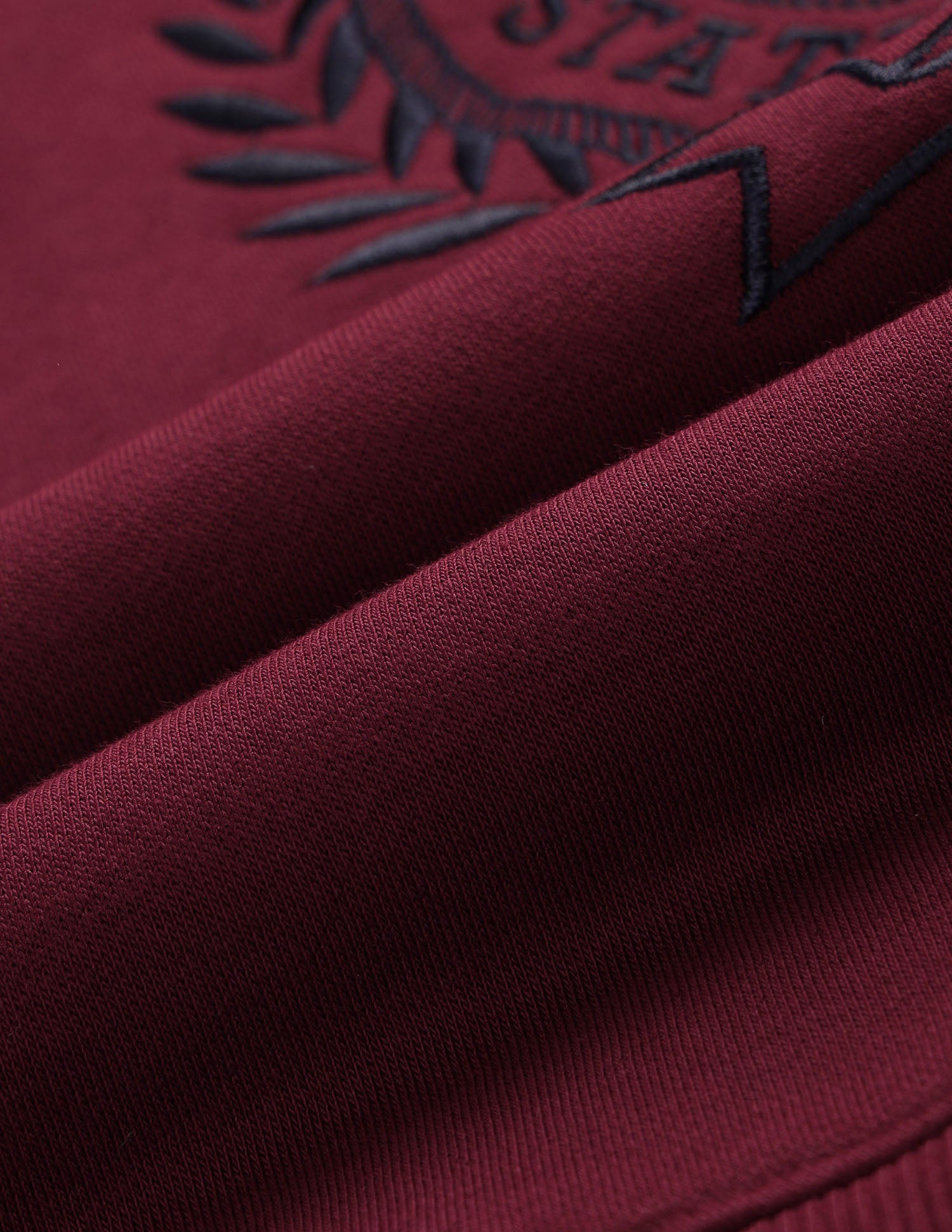 Graphic Brand Embroidered Regular Fit Sweatshirt Dark Red - U.S. POLO ASSN. | Large