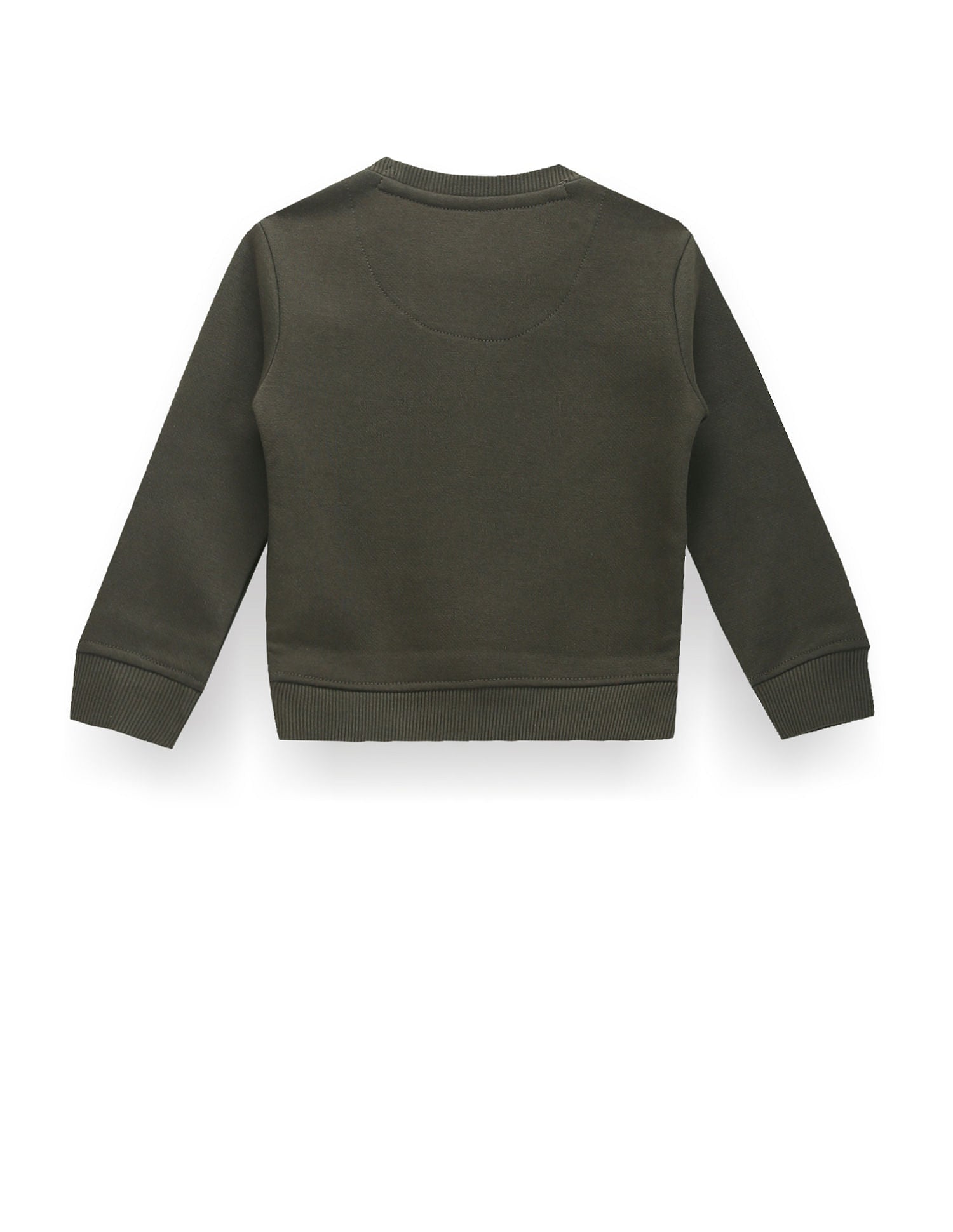 Boys Crew Neck Brand Print Sweatshirt Olive - U.S. Polo Assn. India | Large