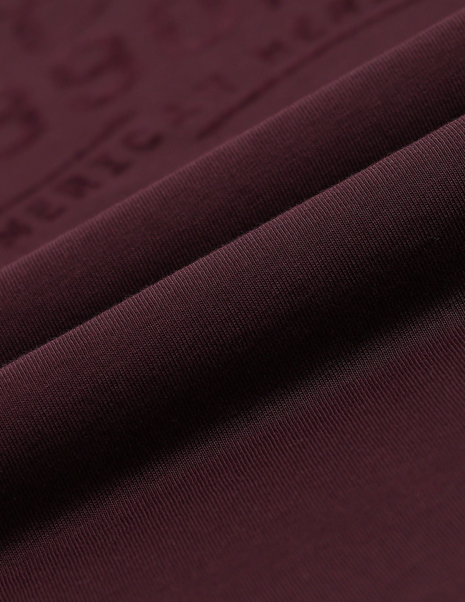 Muscle Fit Brand Print T-Shirt Wine - U.S. POLO ASSN. | Large