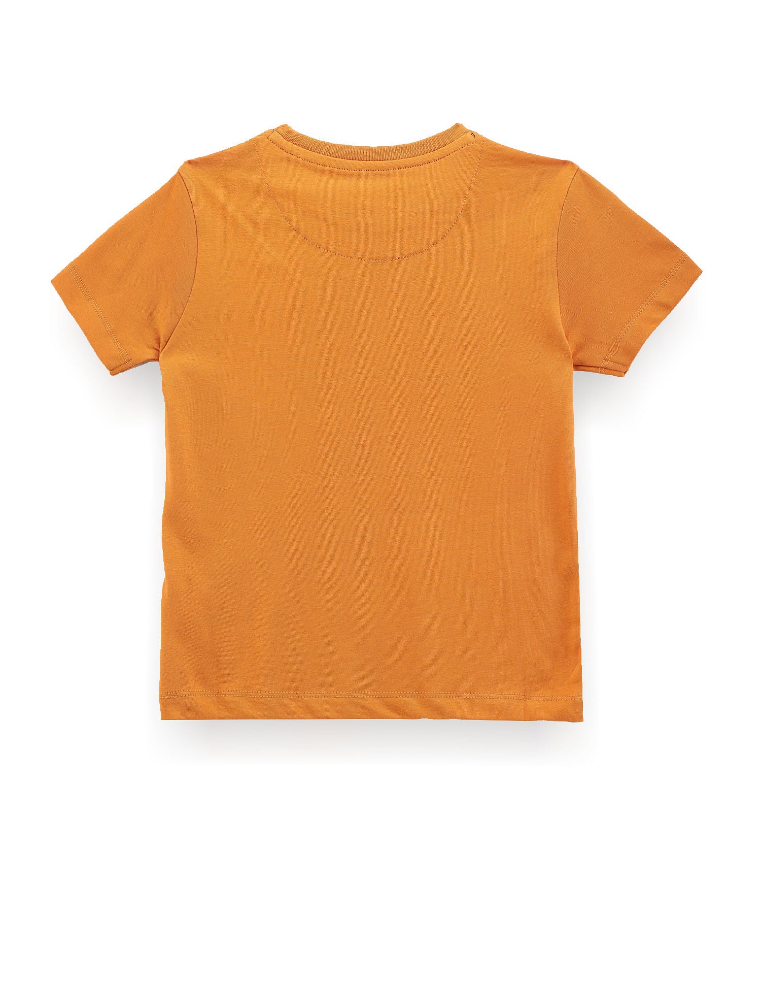 Boys Brand Stripe Cotton T-Shirt Mustard - U.S. POLO ASSN. | Large