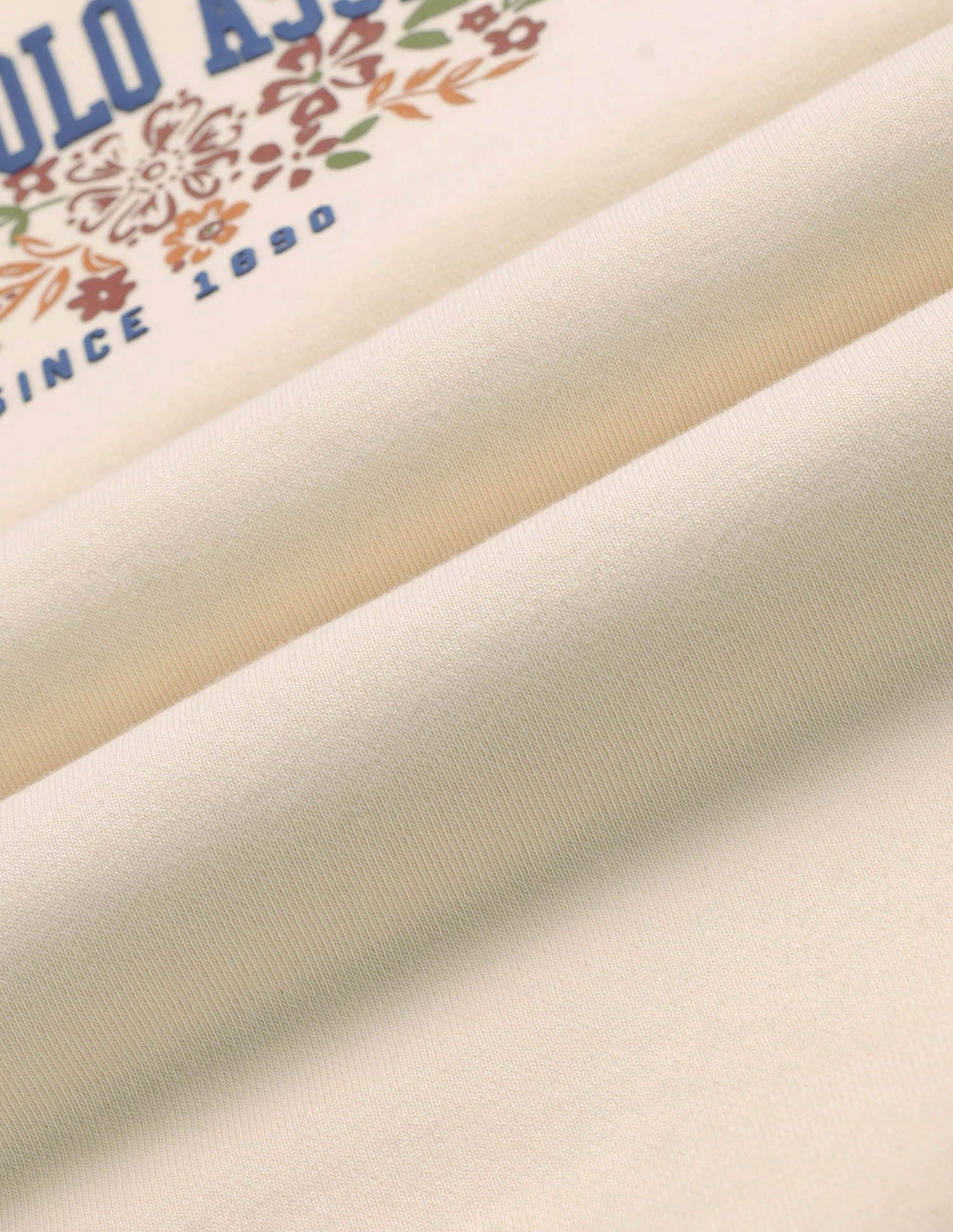 Raglan Fit Brand Printed Sweatshirt Ecru - U.S. Polo Assn. India | Large