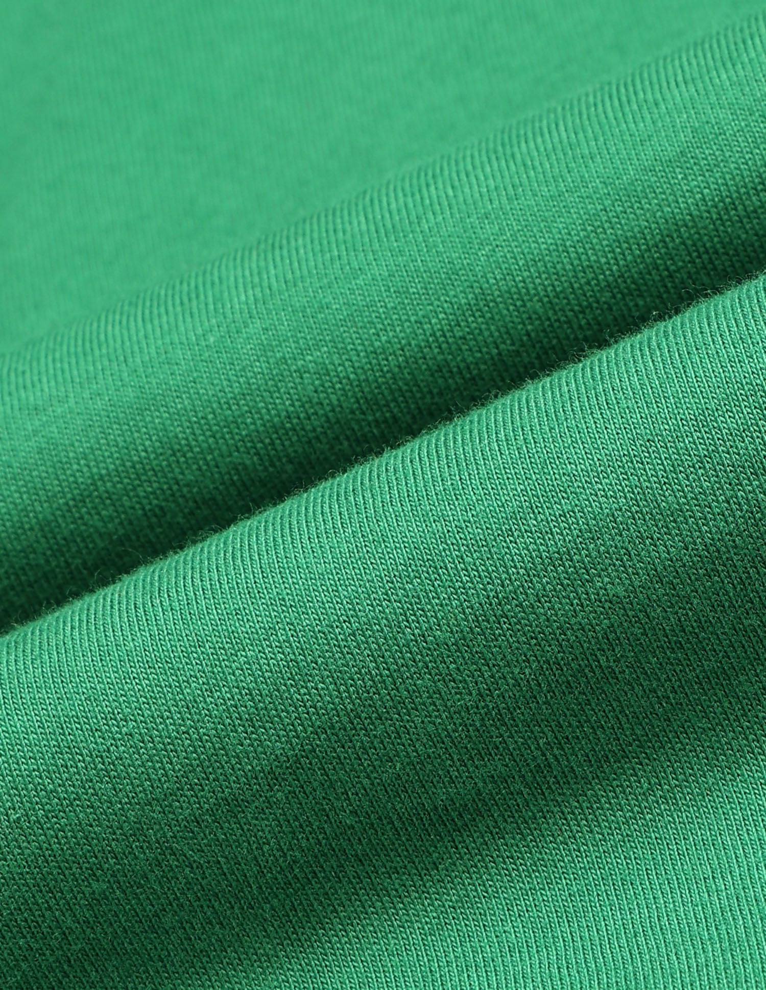 Regular Fit Brand Printed T-Shirt Green - U.S. Polo Assn. India | Large
