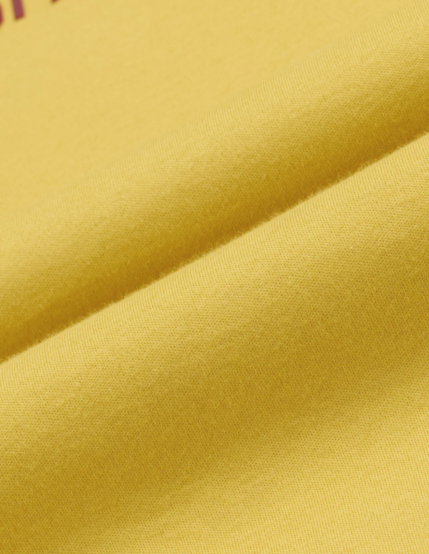 Brand Printed Relaxed T-Shirt Mustard - U.S. Polo Assn. India | Large